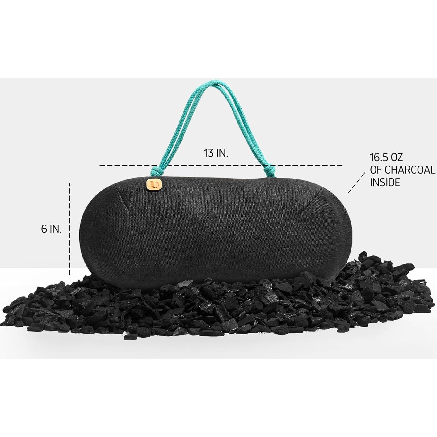 Ambientador de Auto PURGGO 100% Carbón de Bambú Sin Químicos