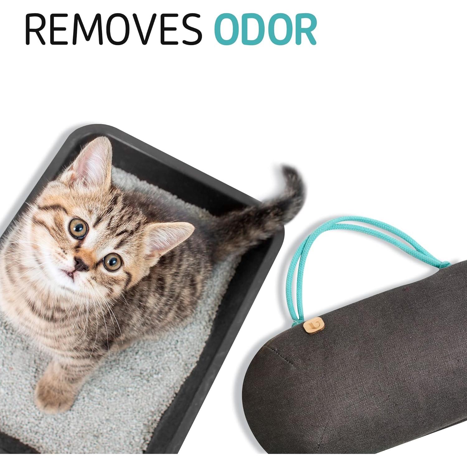 Ambientador de Auto PURGGO 100% Carbón de Bambú Sin Químicos