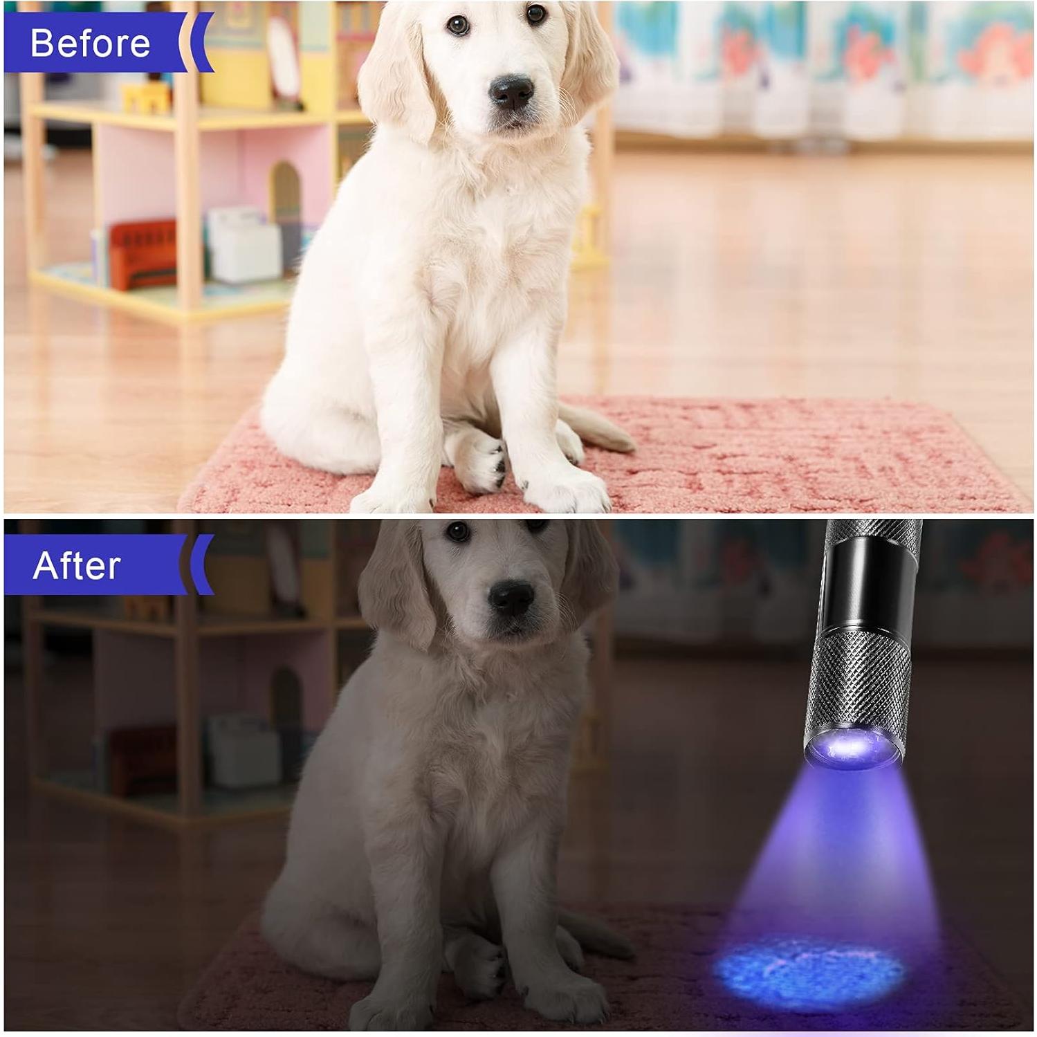 Linternas UV Portátiles Roceei - 10 Piezas, Luz Negra LED