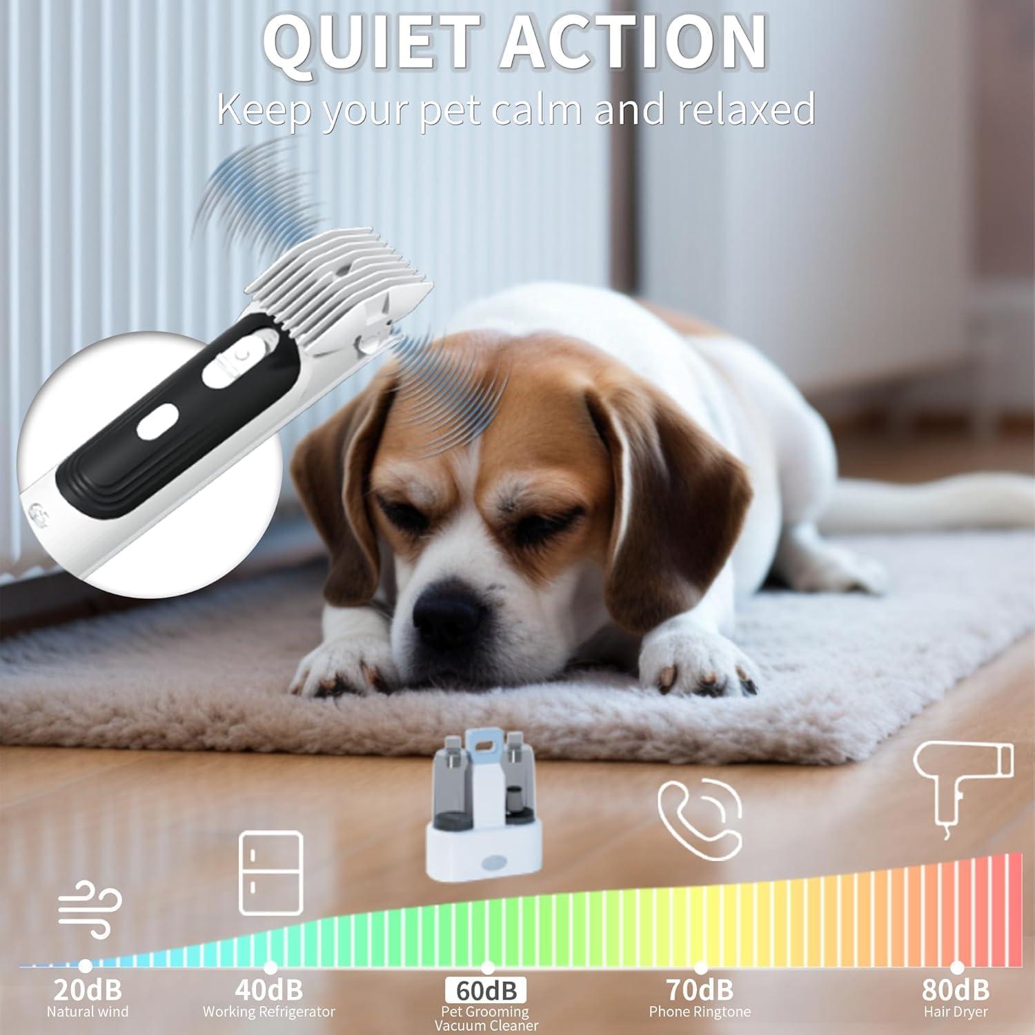 Kit de Aspiradora y Secador FOTING 6 en 1 para Perros 2.1L