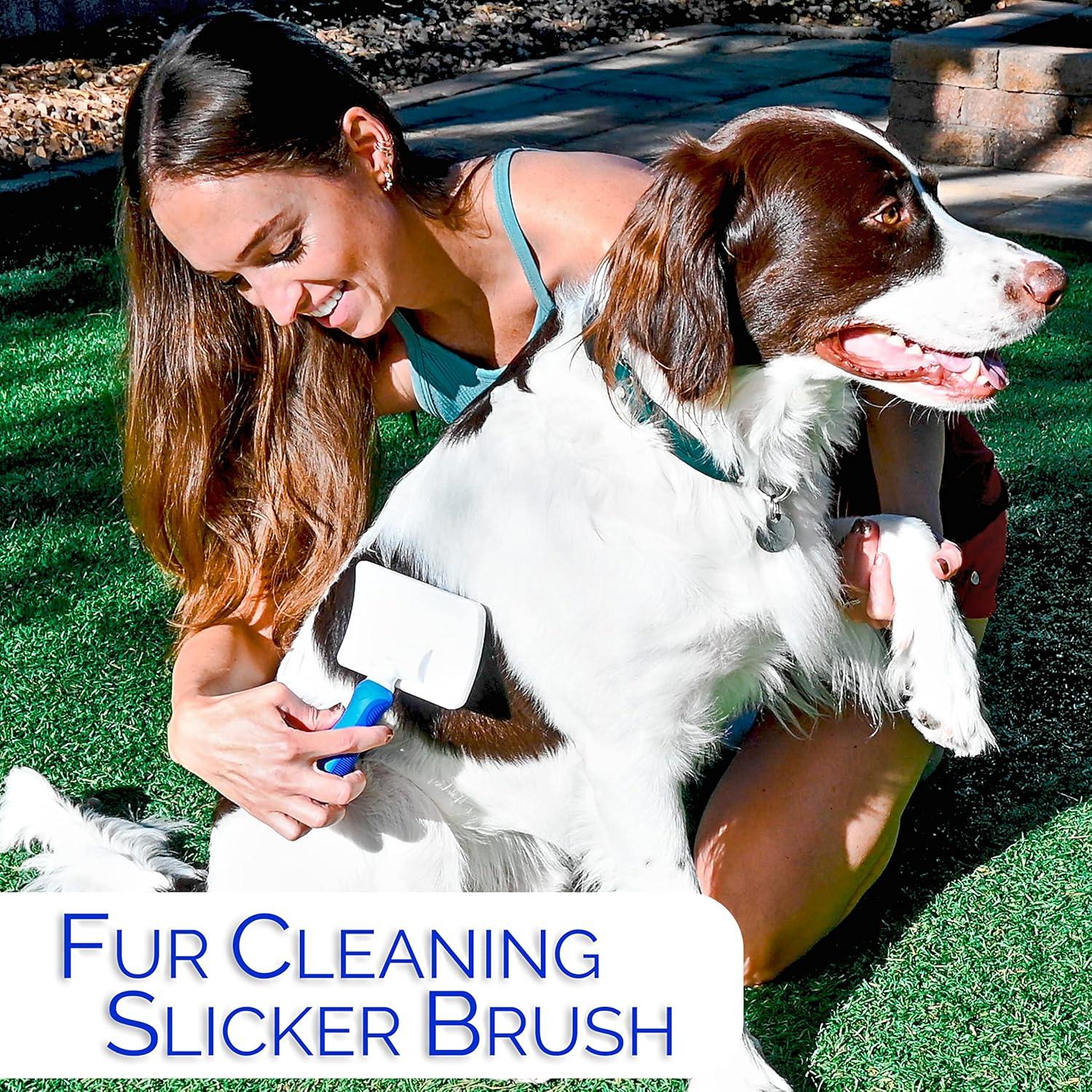 Juego de Cepillos para Perros 6 en 1 Horicon Pet - Acicalamiento Completo