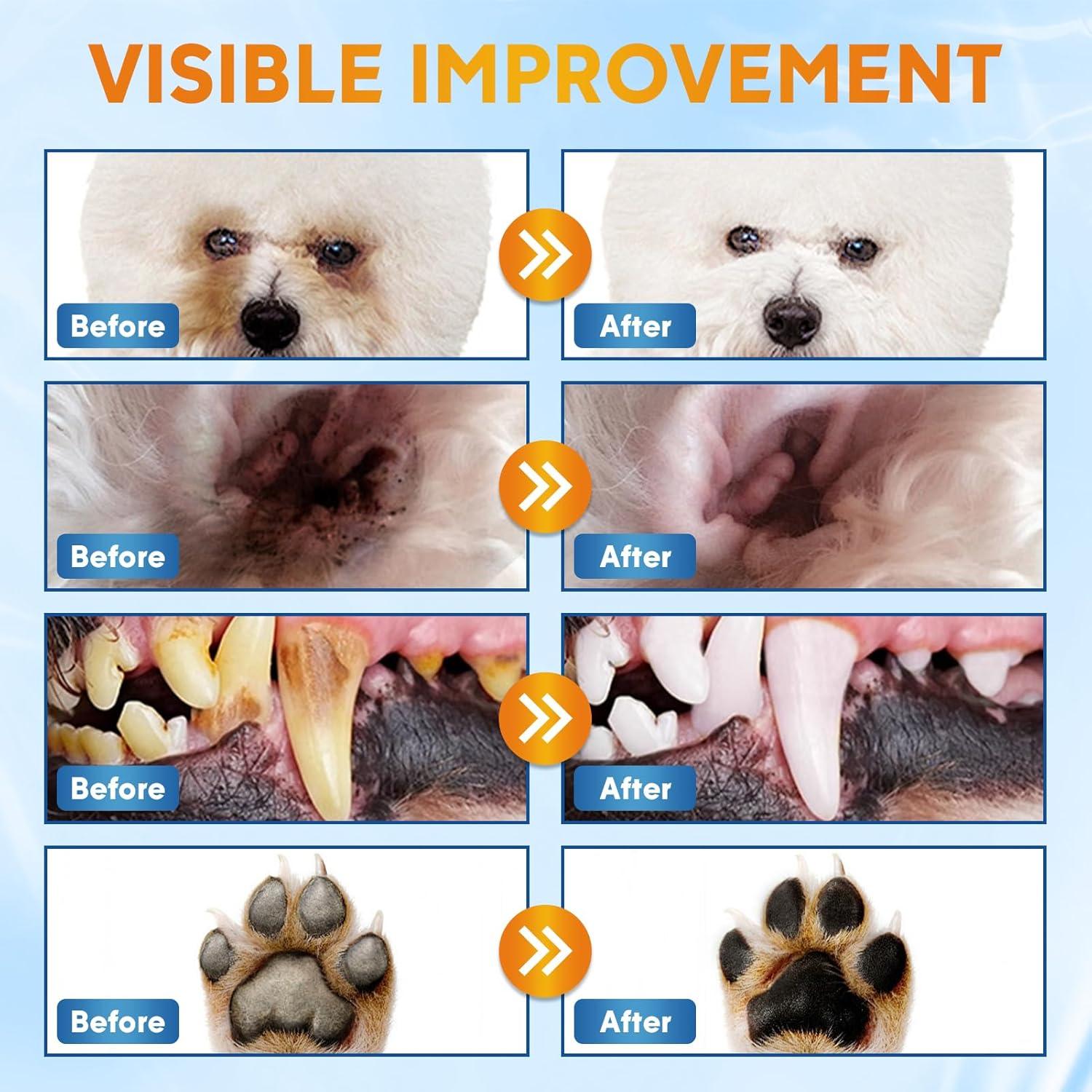 Kit de Limpieza para Perros Pjordo - Toallitas y Limpiadores