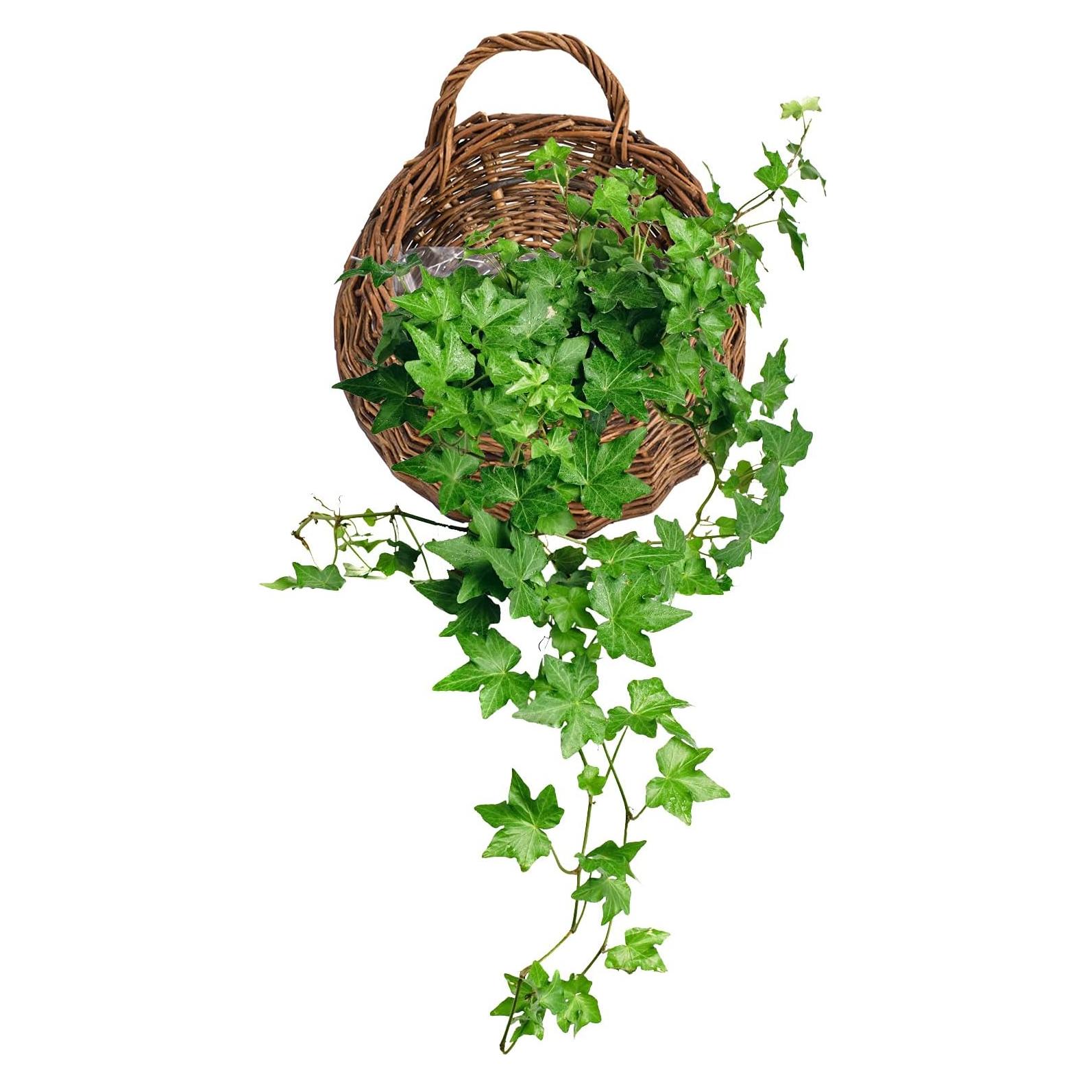 Cesta Colgante Tejida a Mano Swiftrans Mimbre Natural 30.99cm