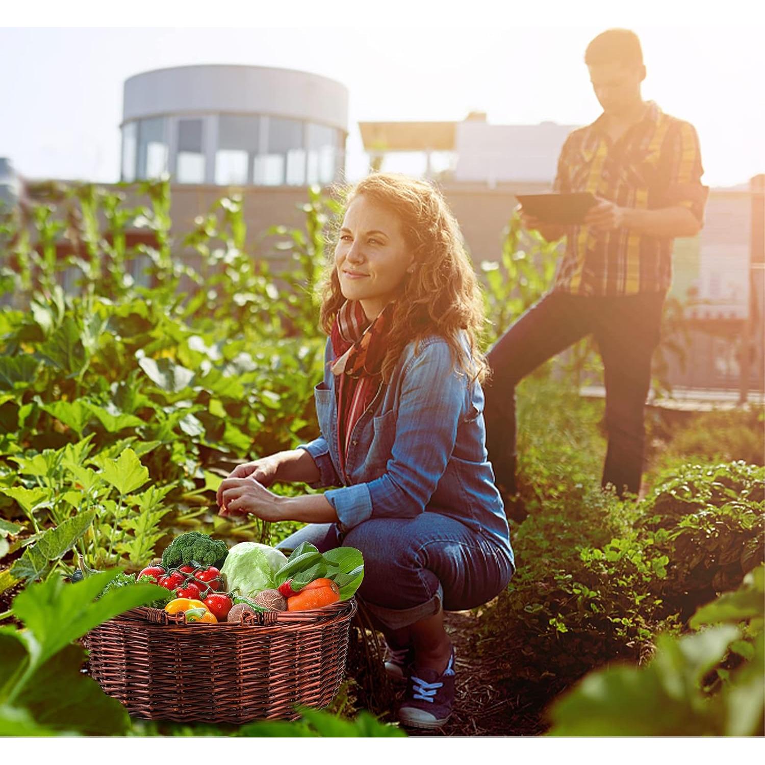 Cesta de Picnic de Mimbre Dicunoy 33x26.7 cm Rústica