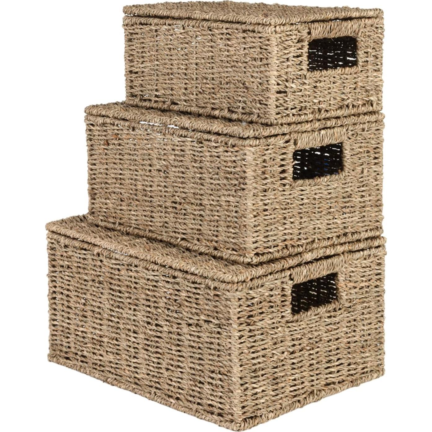 Cestas de Almacenamiento de Mimbre OEHID con Tapa - Juego de 3