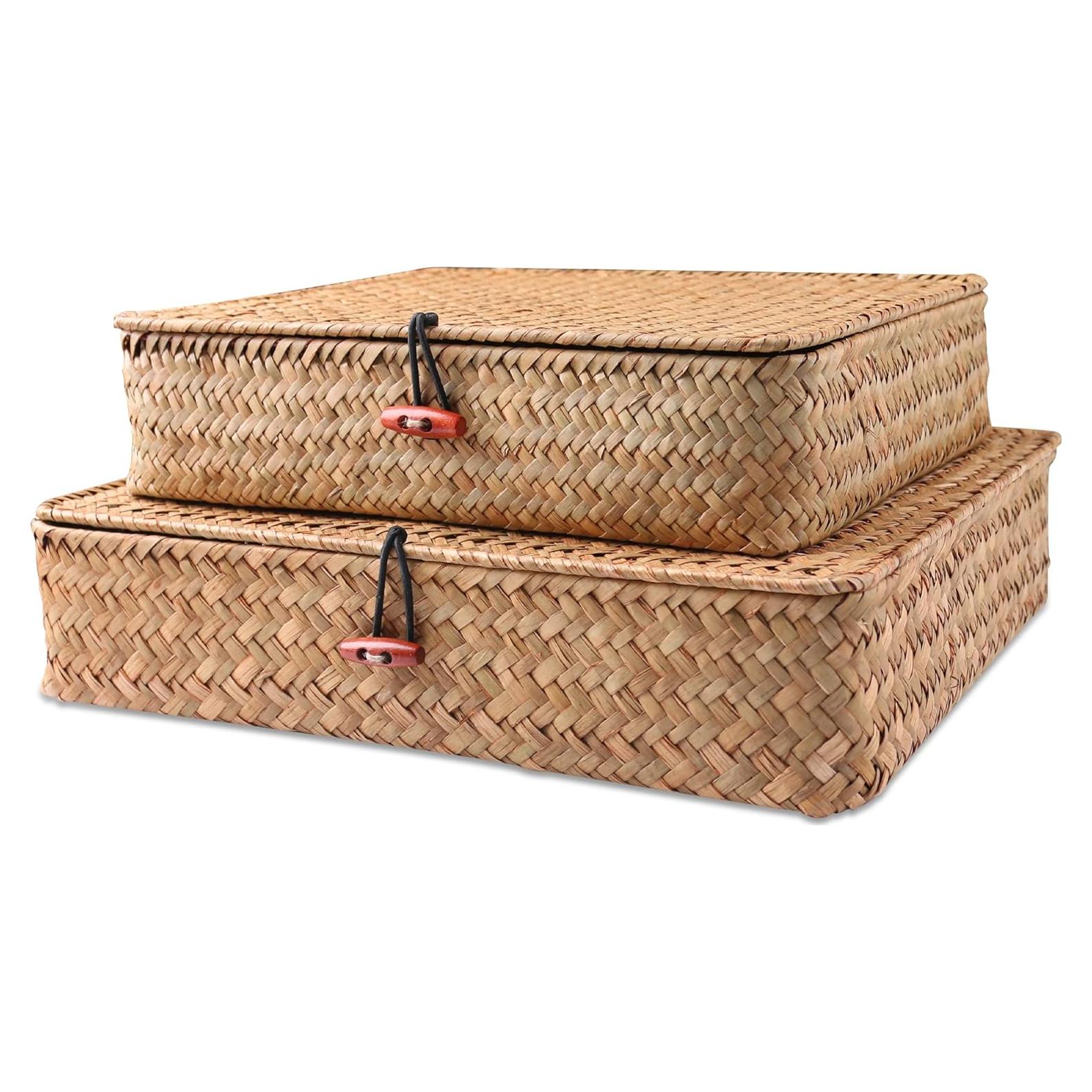 Juego de 2 Cestas de Mimbre FEILANDUO con Tapa - Almacenamiento Boho