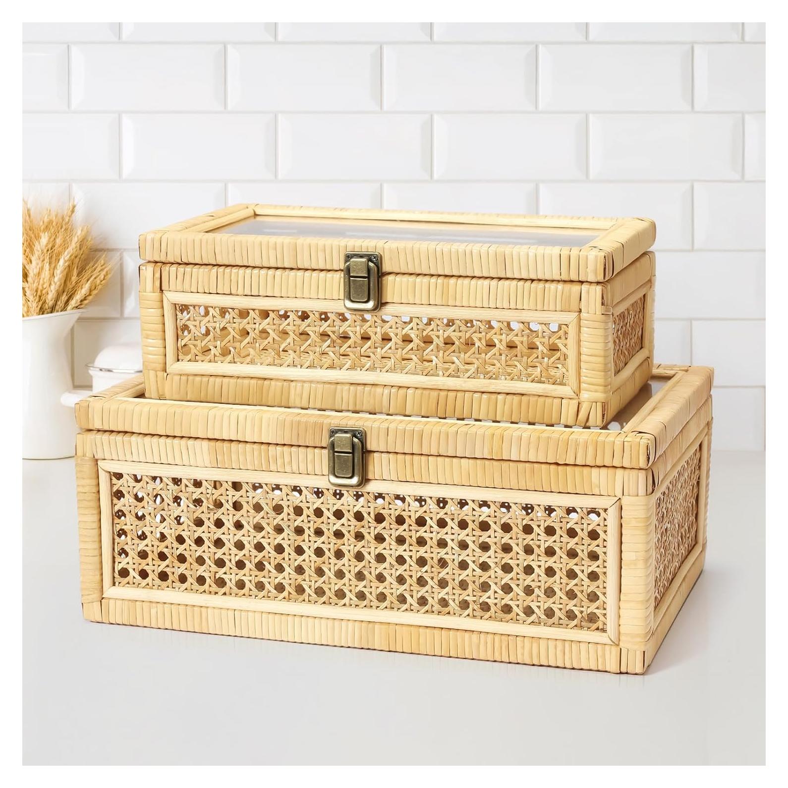 Juego de 2 Cajas Decorativas de Ratán Dendrovia con Tapa