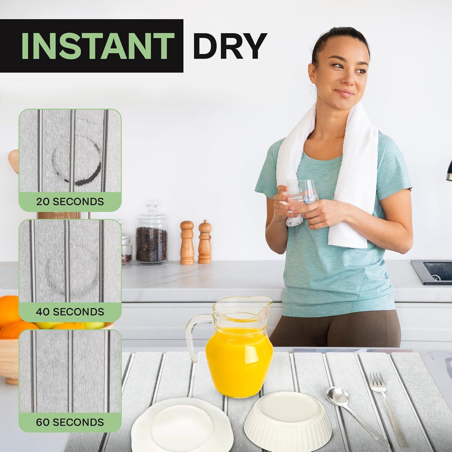 Alfombrilla de Secado de Piedra Diatomácea TAZ USA 61x41 cm Gris