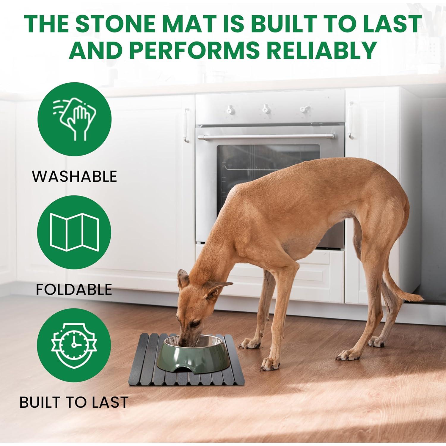 Alfombrilla de Secado de Piedra SILIDRY 61x41cm Absorbente