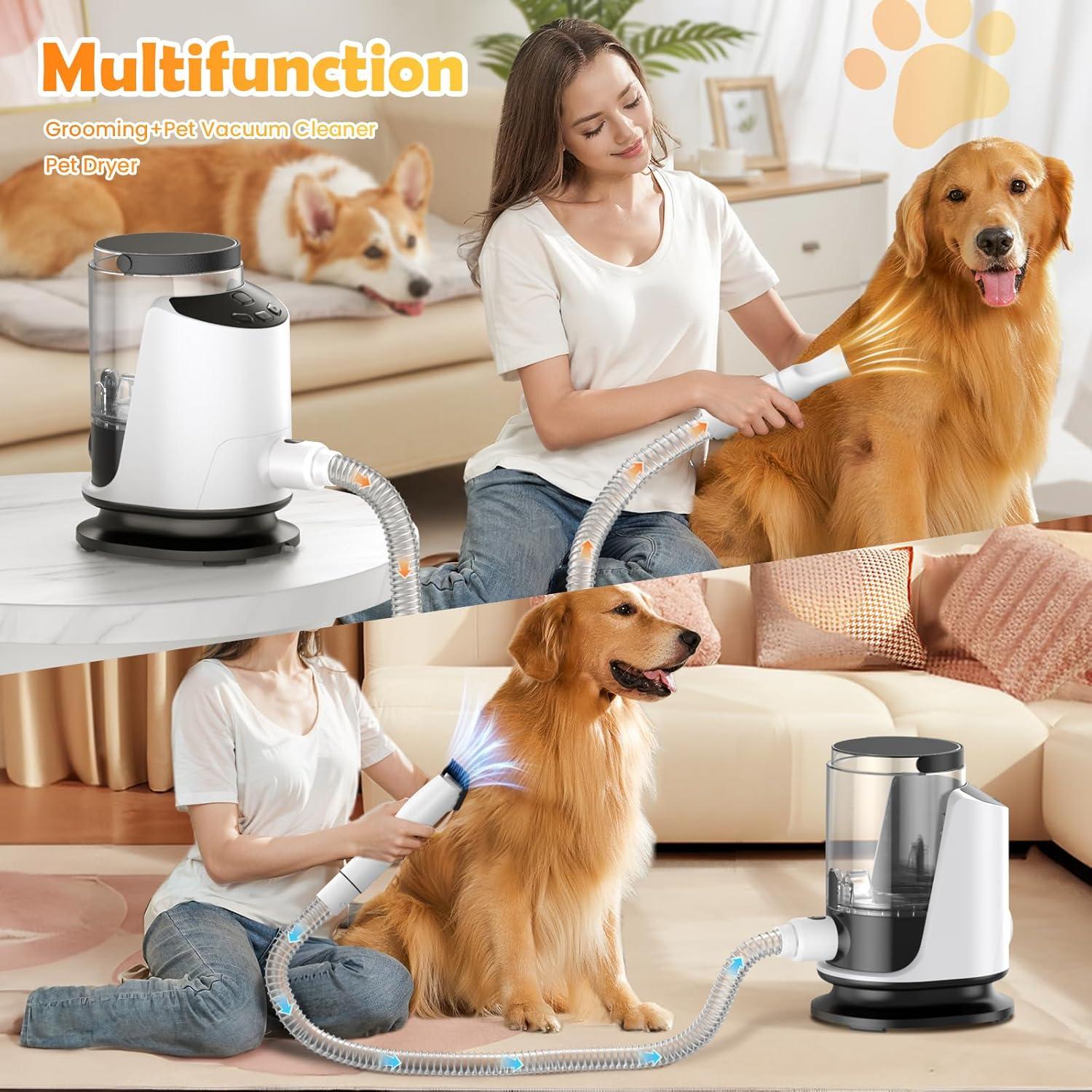 Aspiradora y Secador de Perros SNOYWEN HC-PA01 3L 12000PA