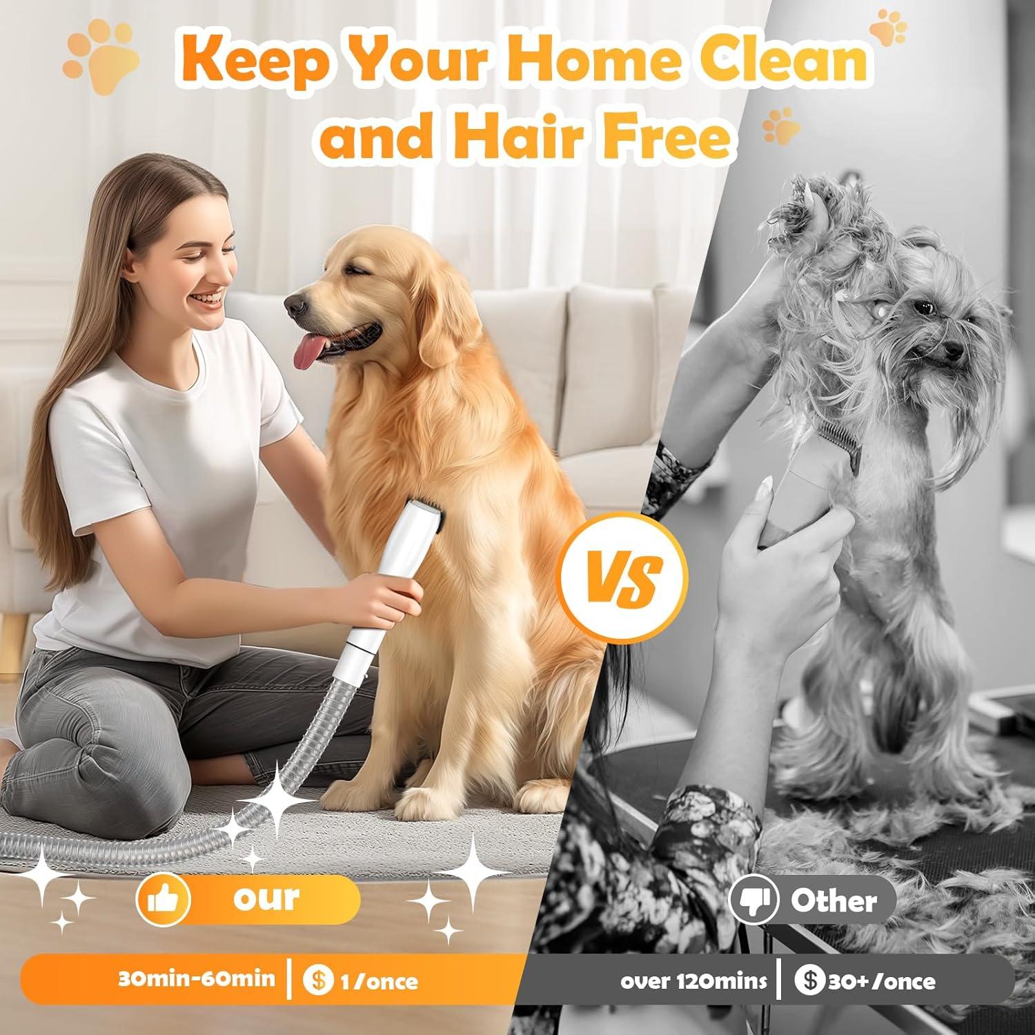 Aspiradora y Secador de Perros SNOYWEN HC-PA01 3L 12000PA