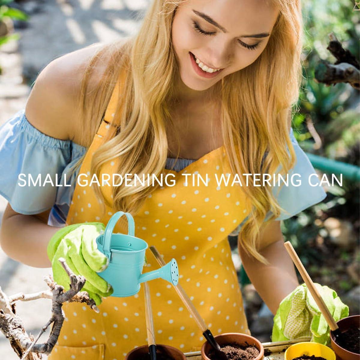 2 Regaderas de Metal para Niños LNQ LUNIQI 200ml Azul/Rojo