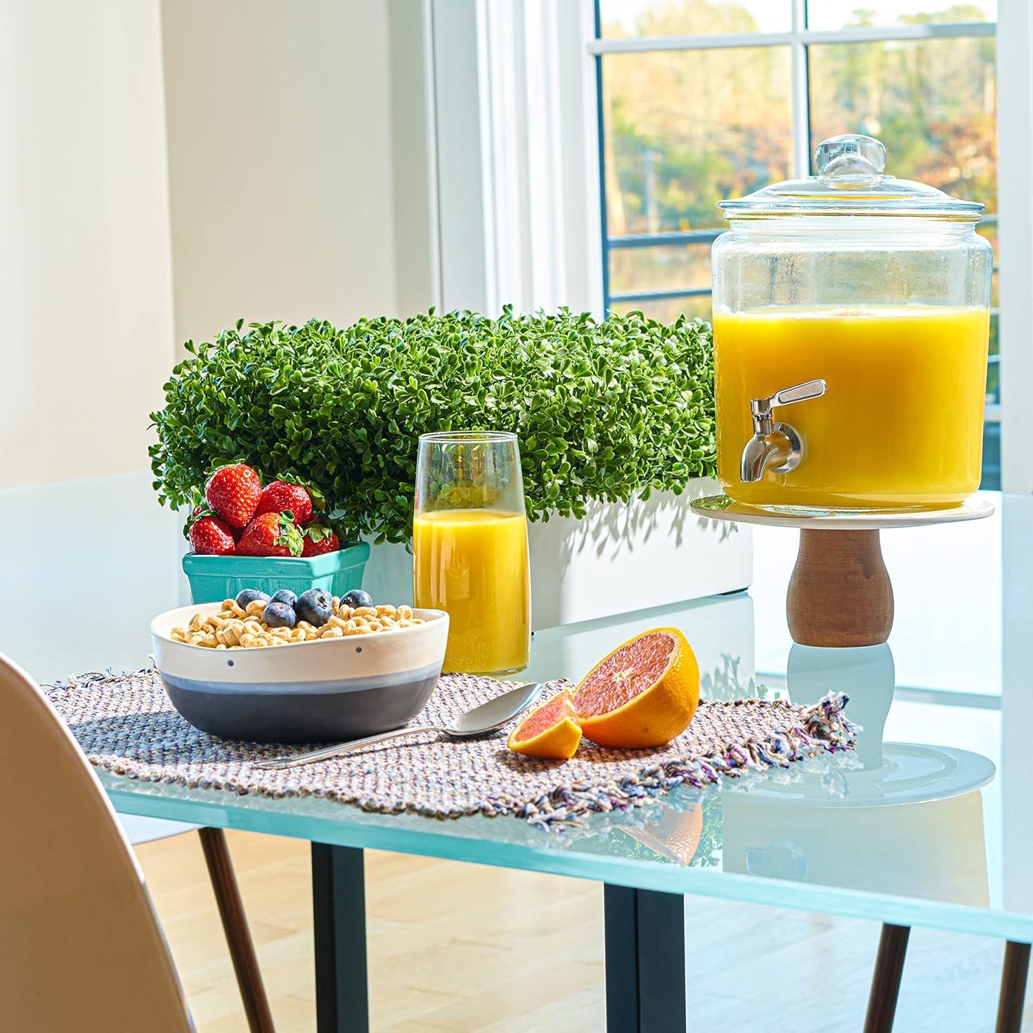 Dispensador de Bebidas de Vidrio Le'raze 3.78L con Grifo Inoxidable