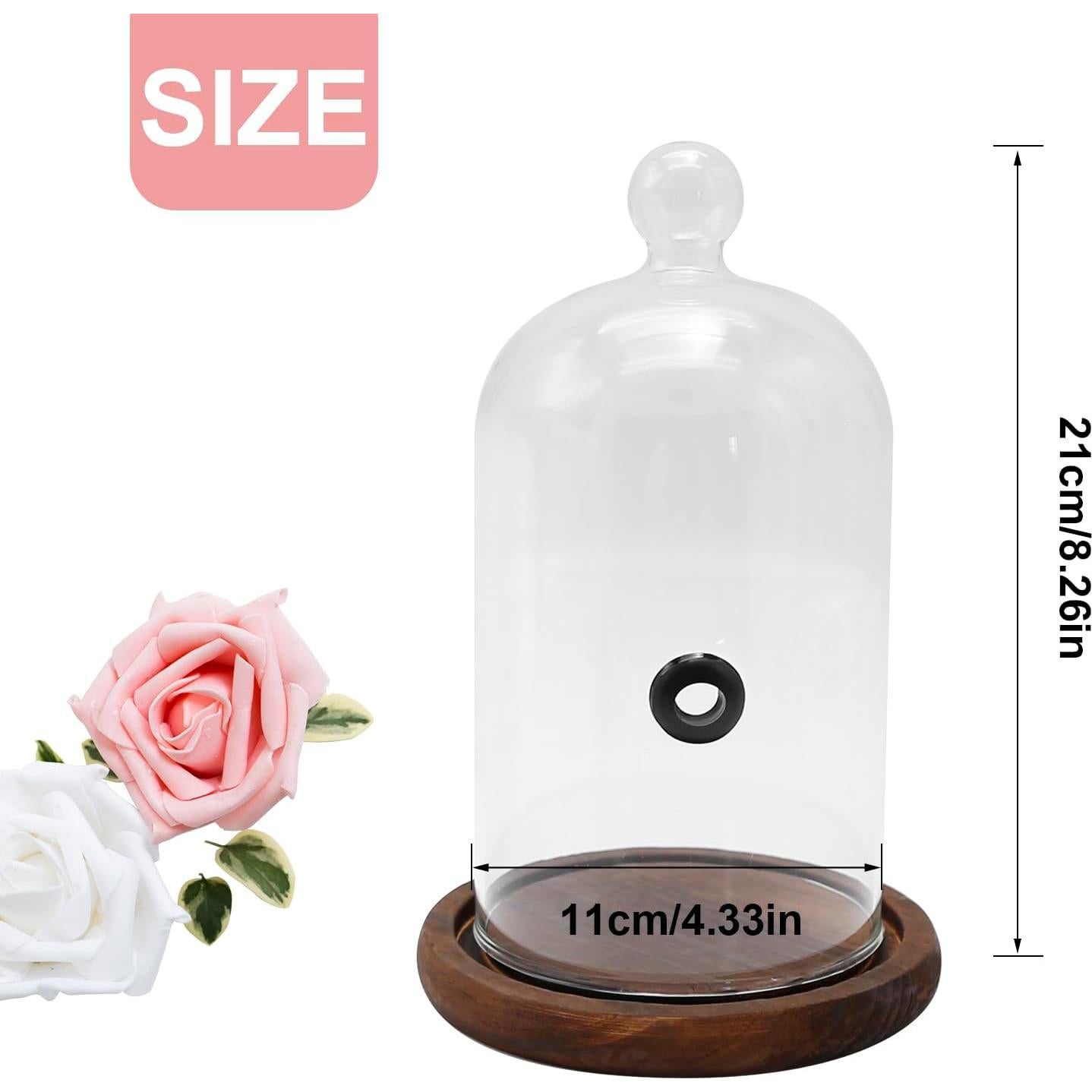 Campana Ahumadora MDEOOSKY con Base de Madera 28x19x17cm