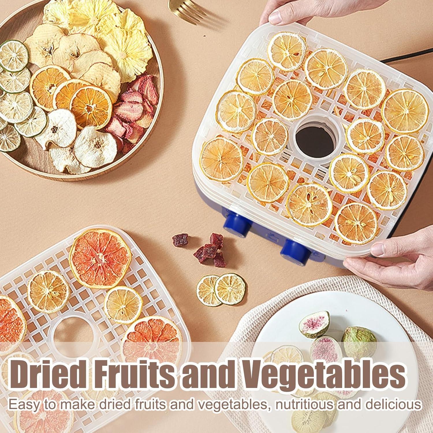 Deshidratador de Alimentos Vingtank 5 Bandejas 420W 35-70°C