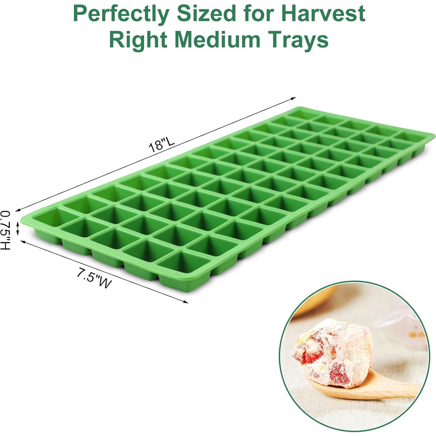 Moldes de Silicona para Alimentos Hdnbsp - 5 Pcs Verde