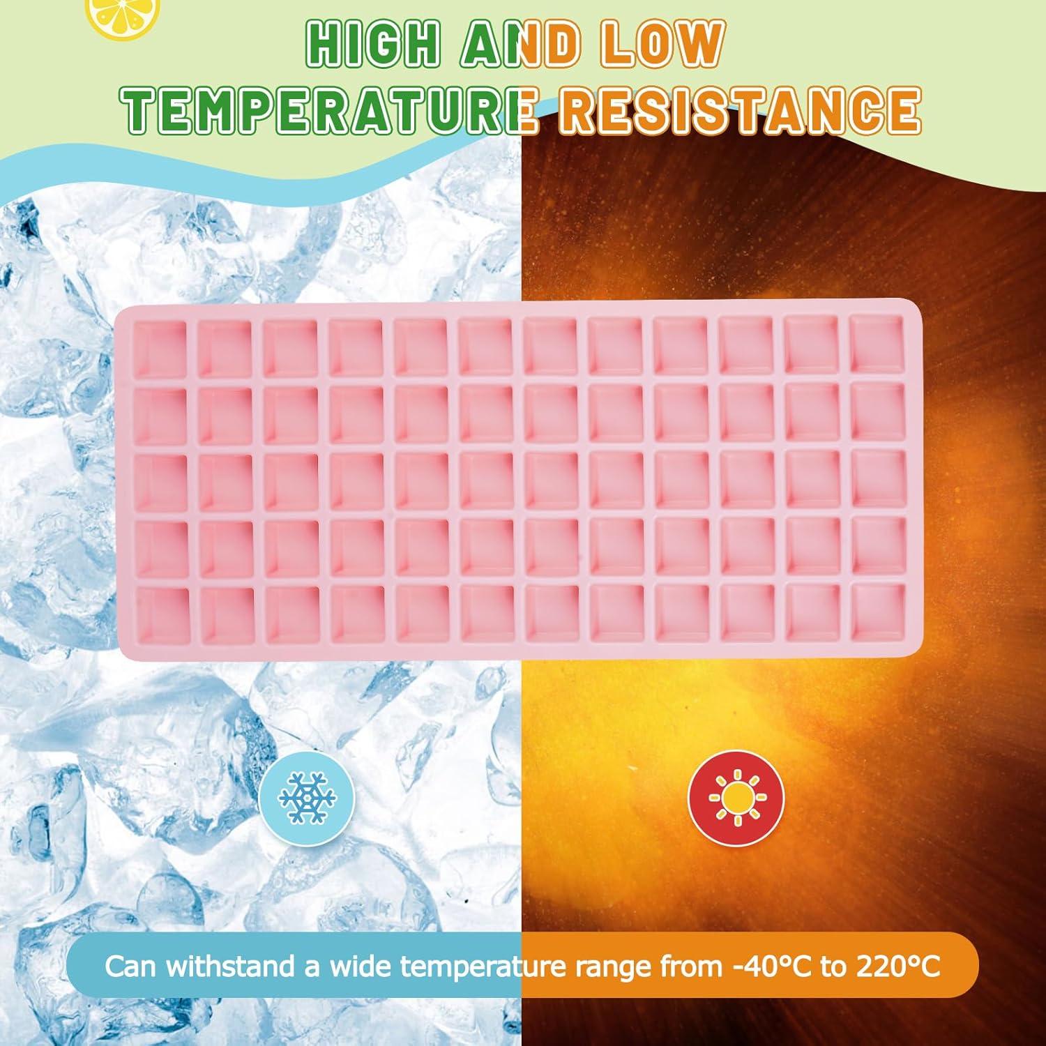 Moldes de Silicona para Alimentos FACULX - 5 Piezas para Deshidratador