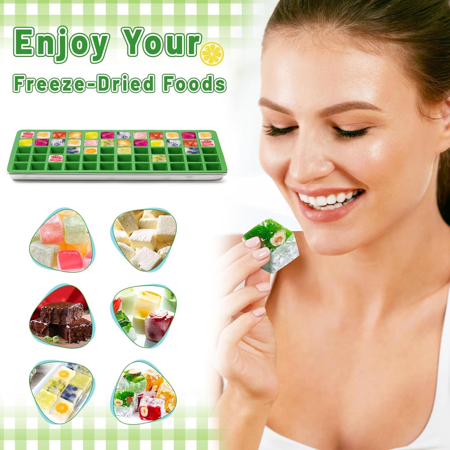 Moldes de Silicona para Alimentos FACULX - 5 Piezas para Deshidratador