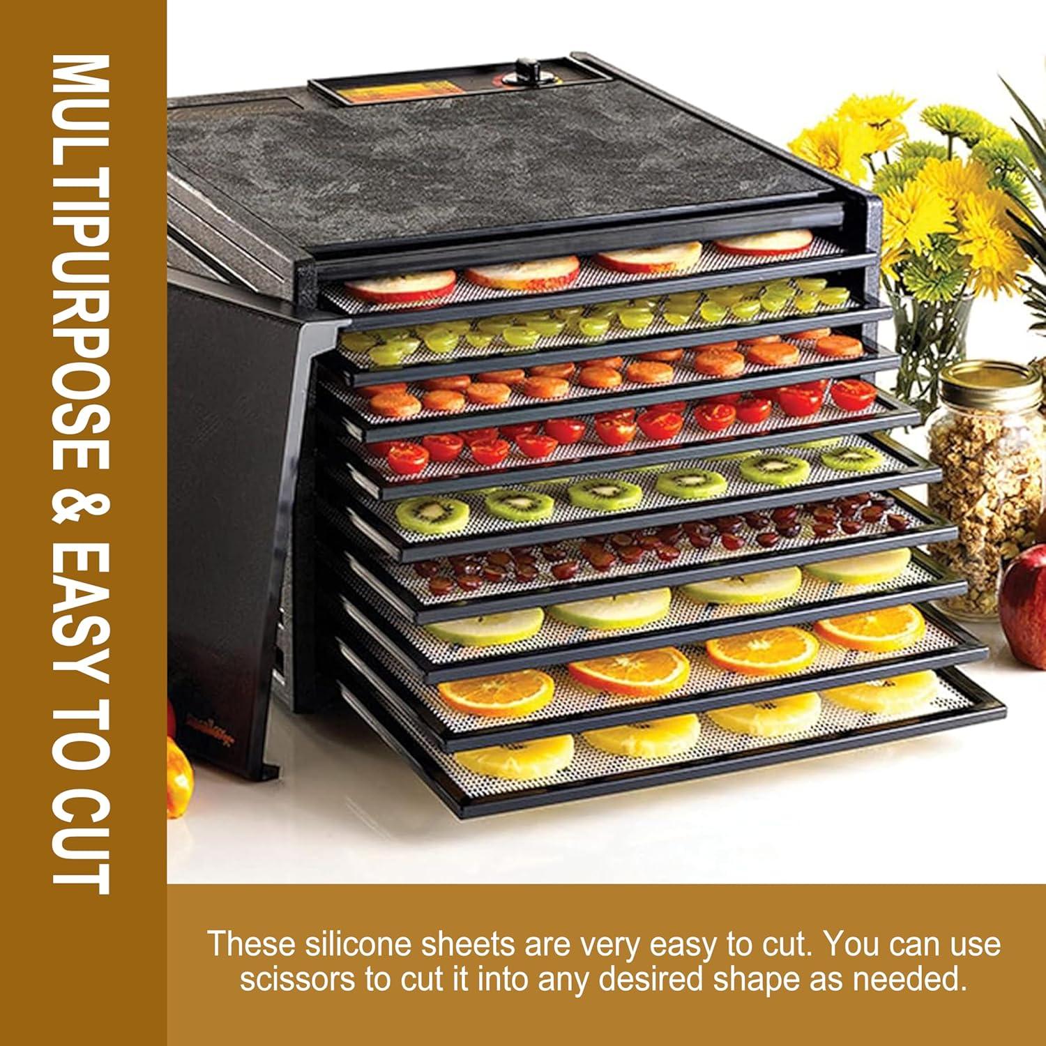 Hojas de Silicona Antiadherentes GUCUJI para Deshidratador - 5 Pzas