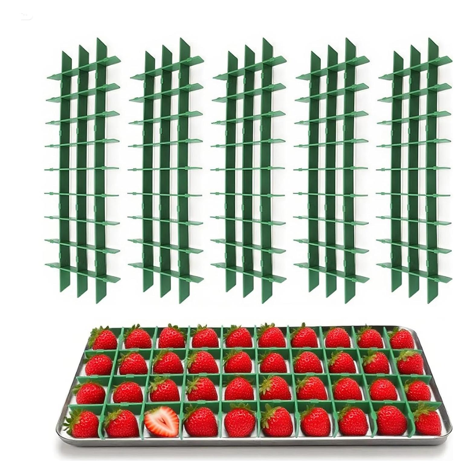 5 Divisores de Bandeja para Secado al Vacío Harvest Right