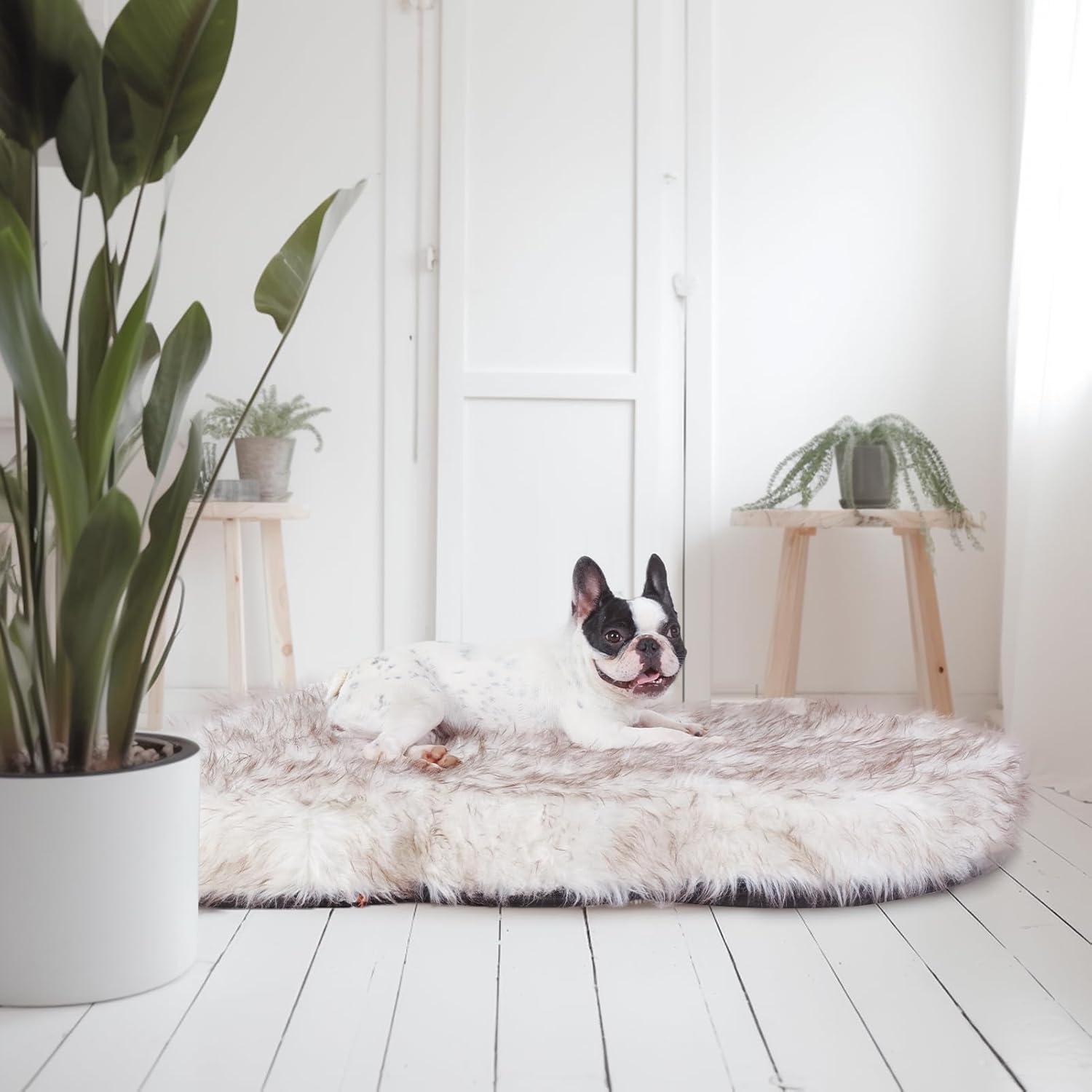 Cama Ortopédica para Perros Laifug de Espuma de Memoria 12.7 cm