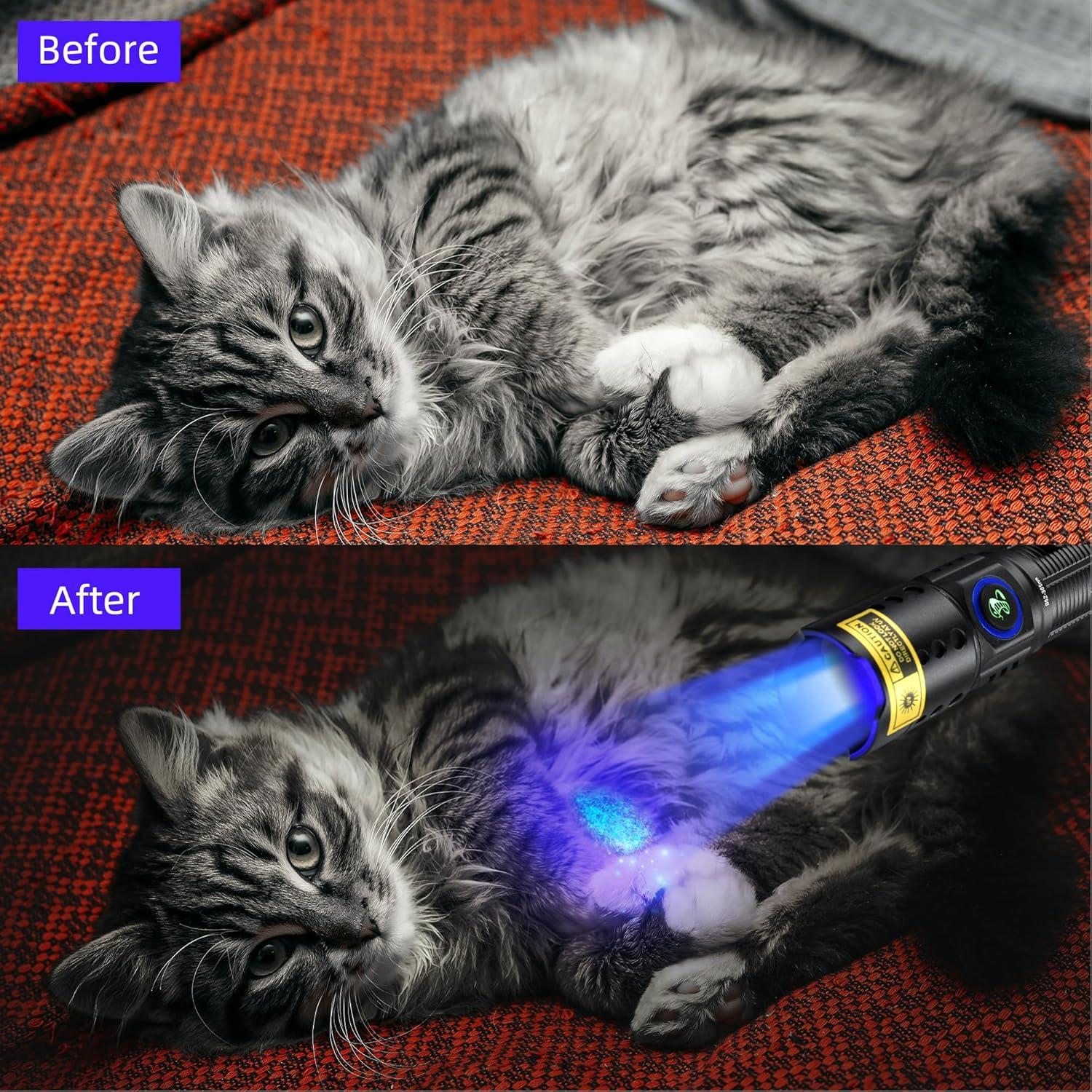 Linterna UV 365nm DARKBEAM Recargable USB-C Impermeable