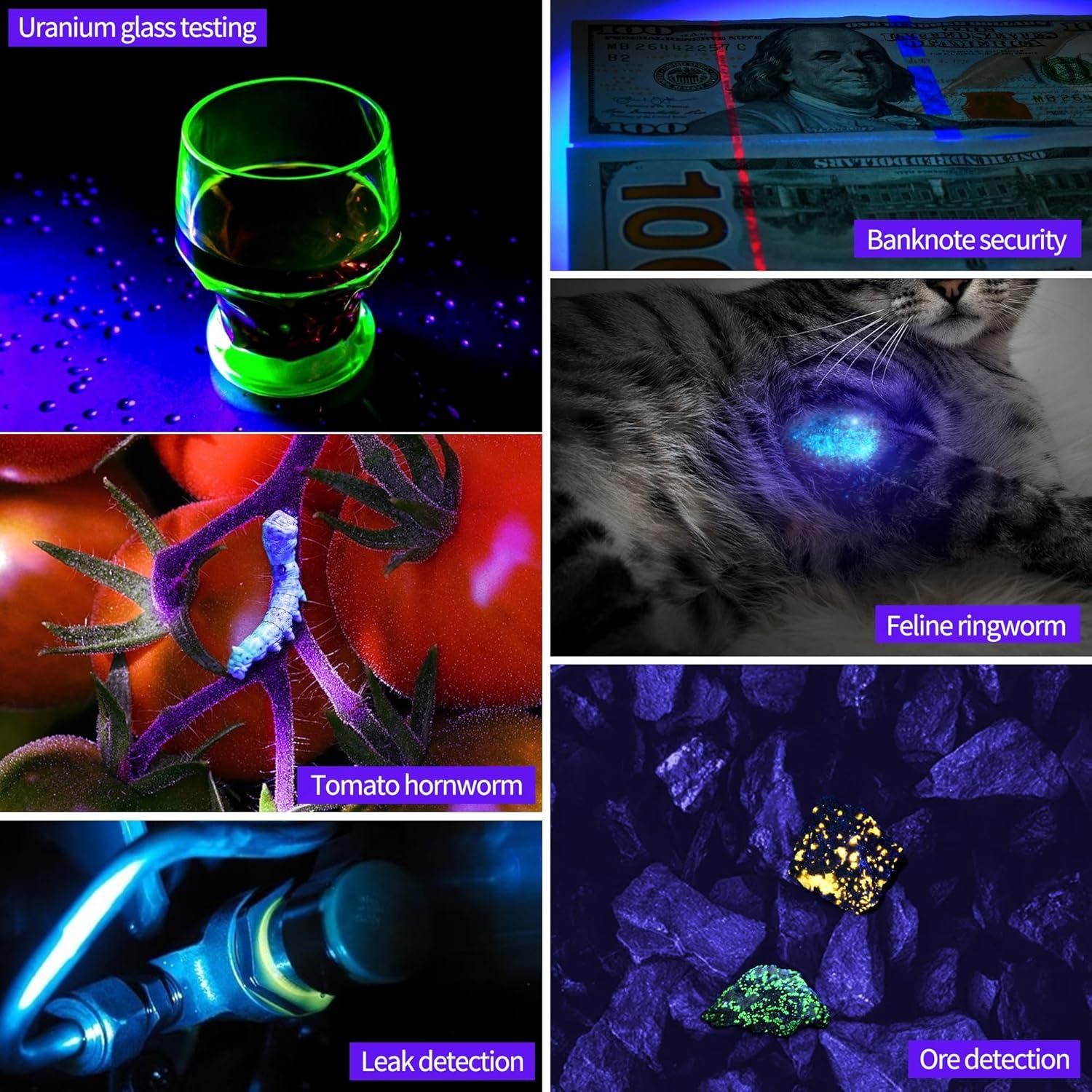 Linterna UV DARKBEAM 365nm 20W Recargable Luz Negra