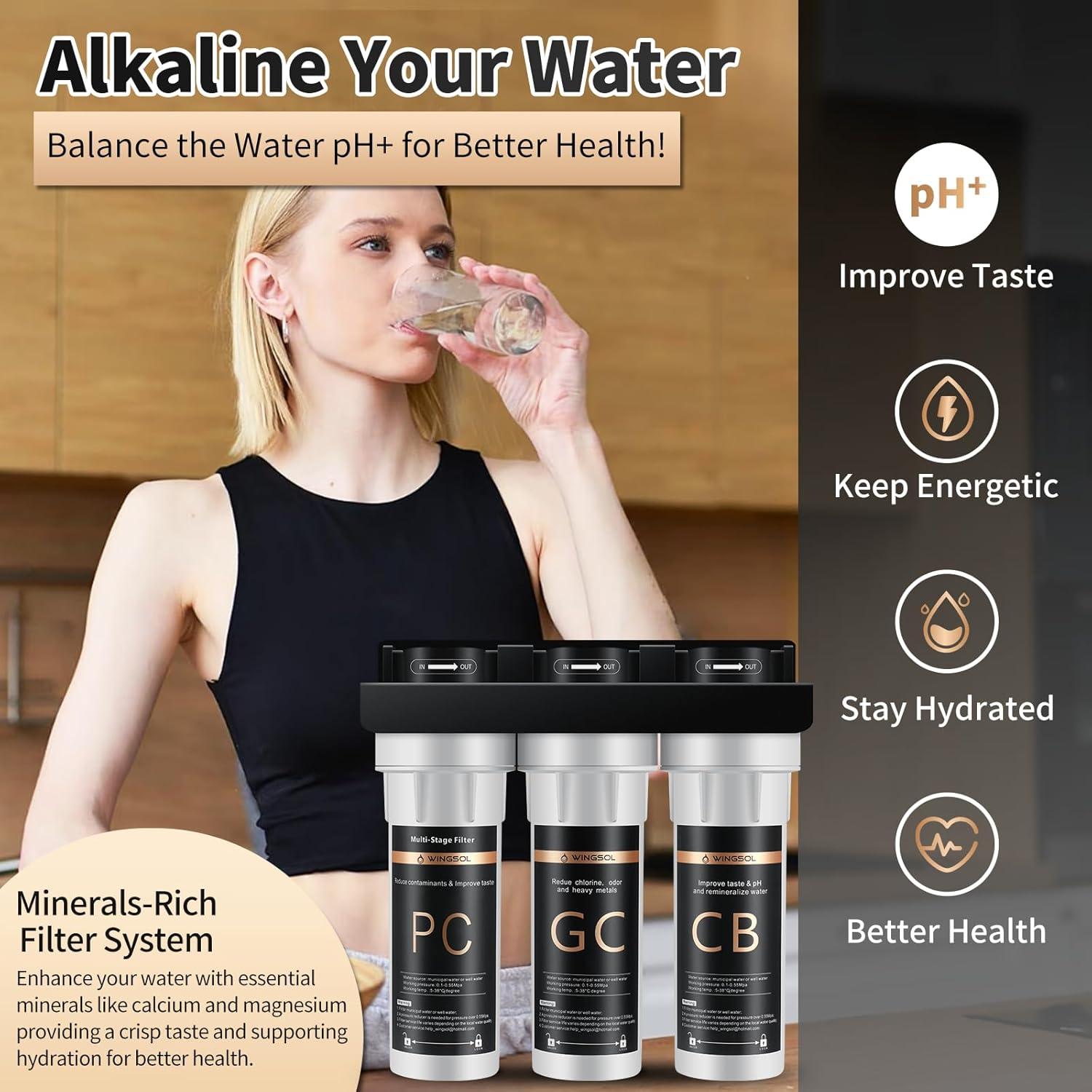 Filtro de Agua Bajo Fregadero WINGSOL WS-US-002/003, 10x Duradero