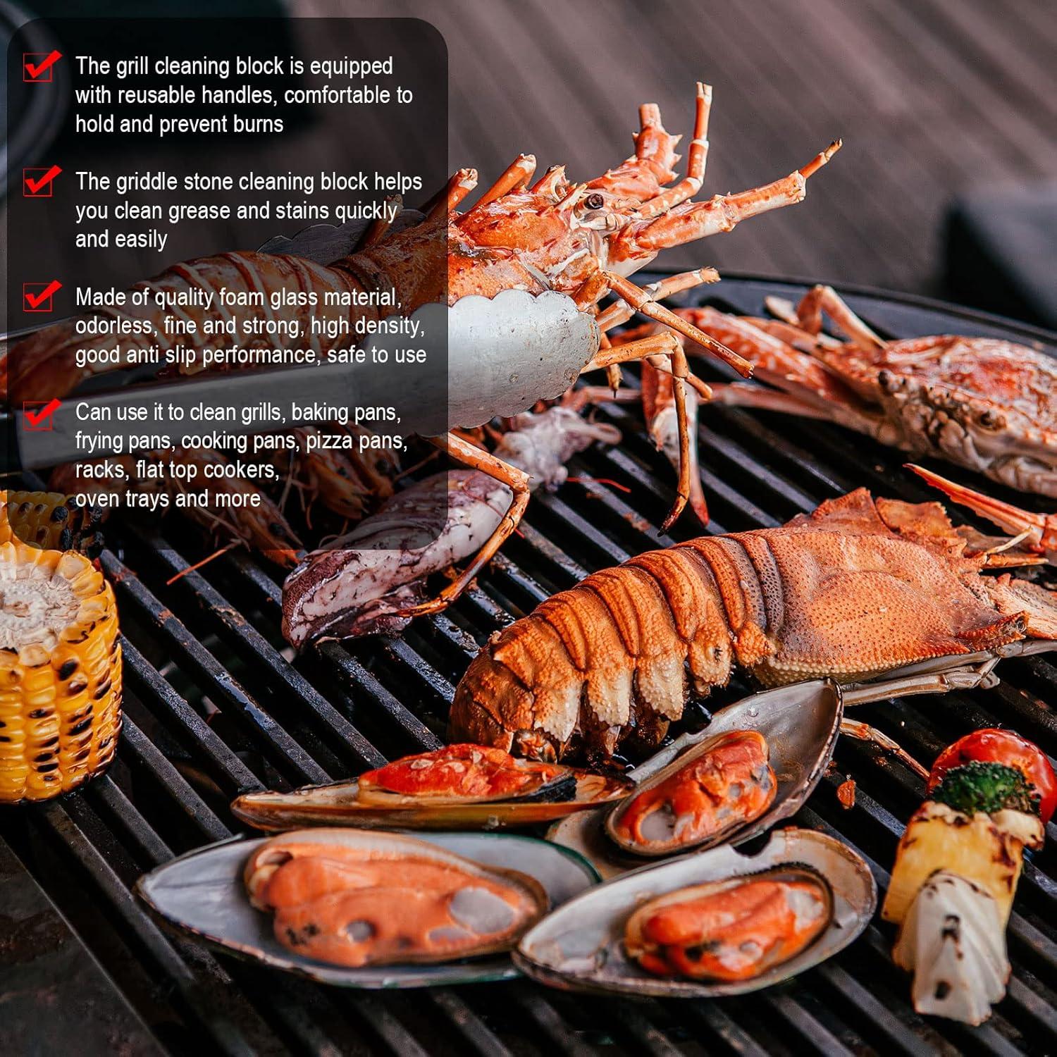 Kacctyen 16 Piezas Piedras Pumice con Mangos para Limpieza