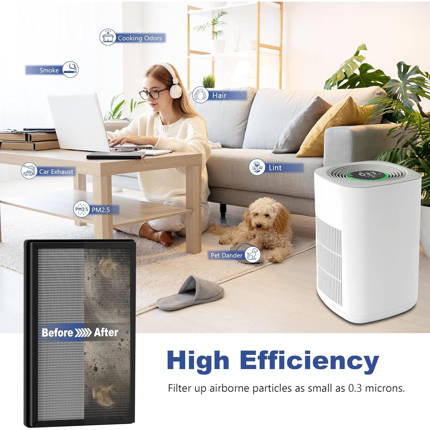 Juego de Filtros de Reemplazo AP2 True HEPA para Priestley PM1240B