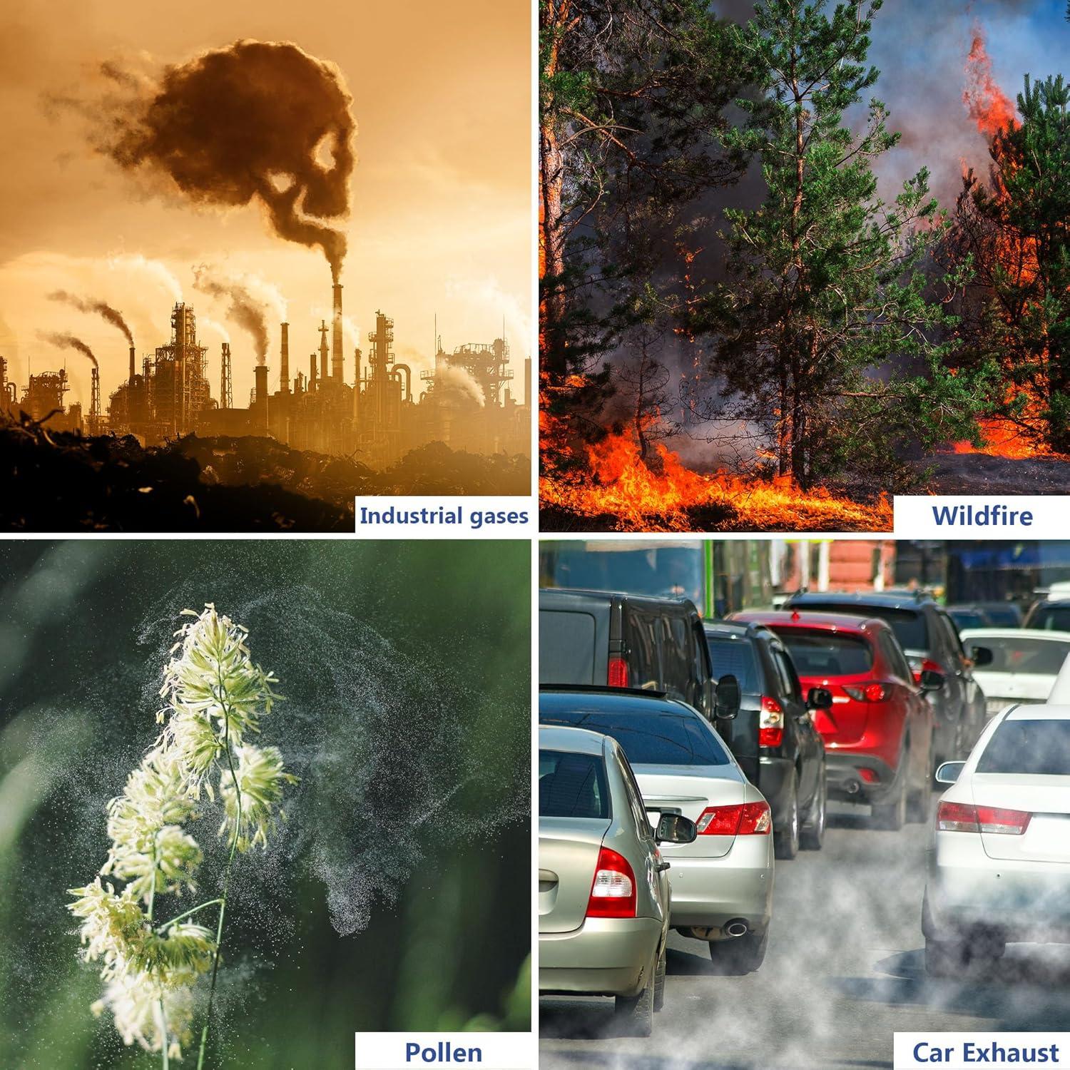 Juego de Filtros de Reemplazo AP2 True HEPA para Priestley PM1240B