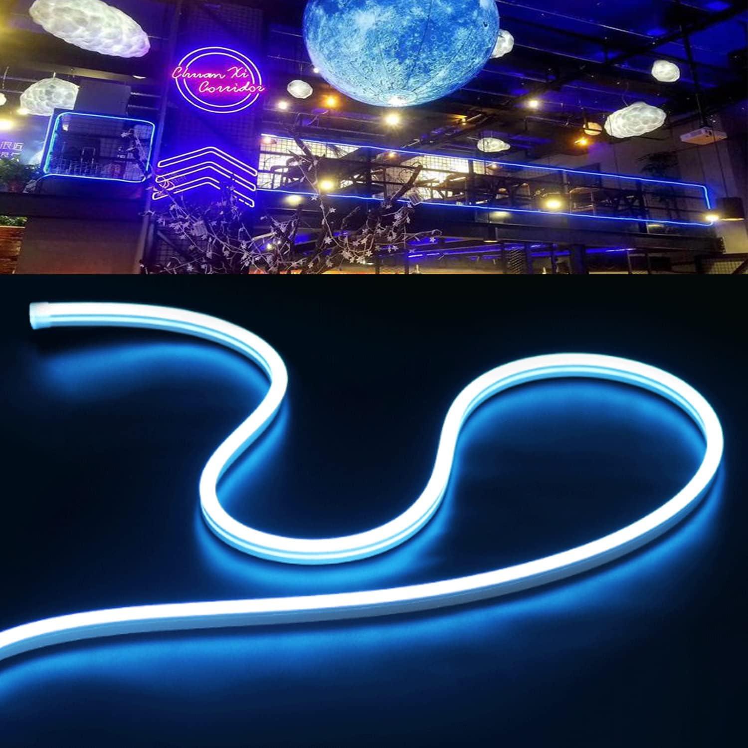 Tira LED de Neón 5m 12V Azul - 600 LEDs IP65 para Decoración