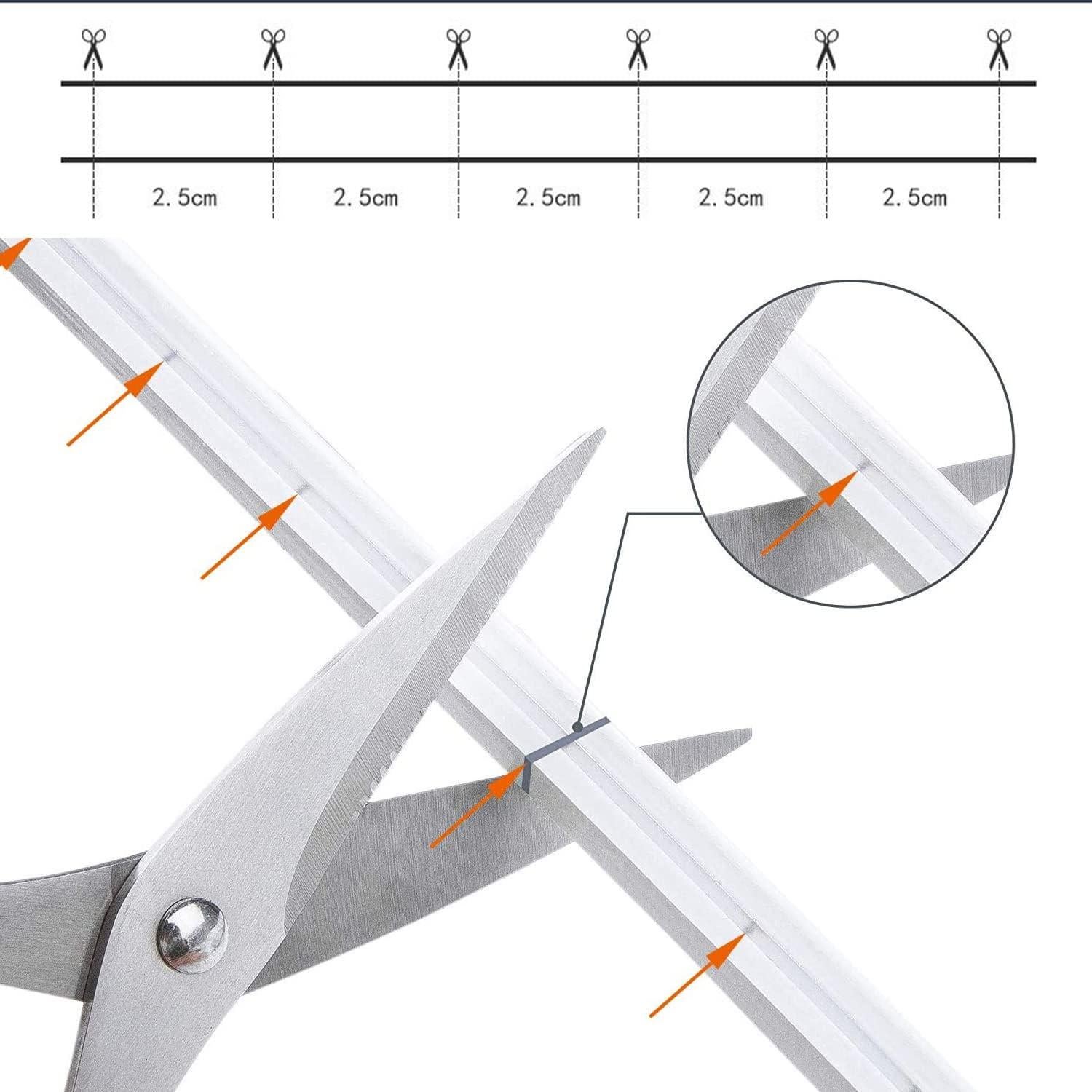 Tira LED de Neón 5m 12V Azul - 600 LEDs IP65 para Decoración