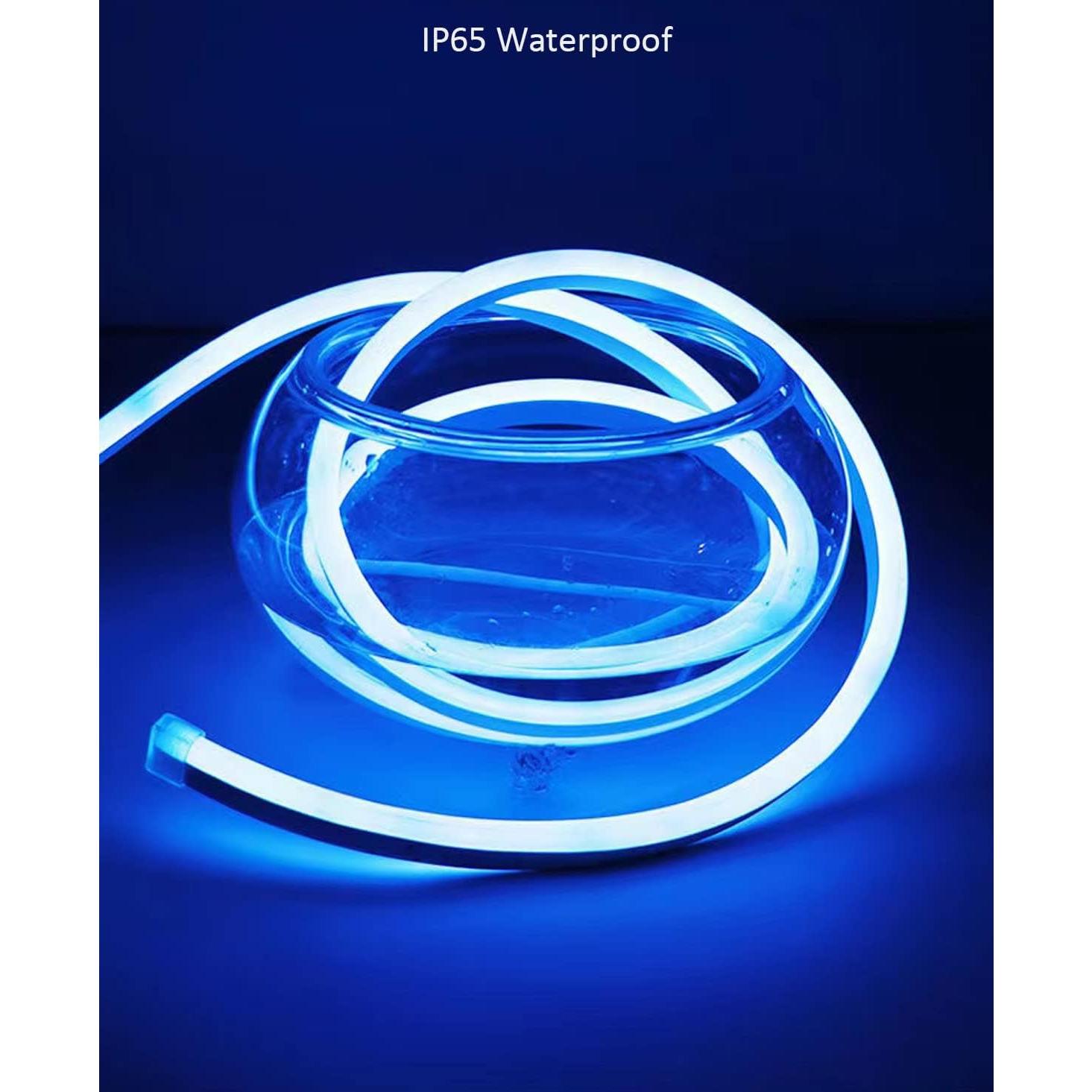 Tira LED de Neón 5m 12V Azul - 600 LEDs IP65 para Decoración