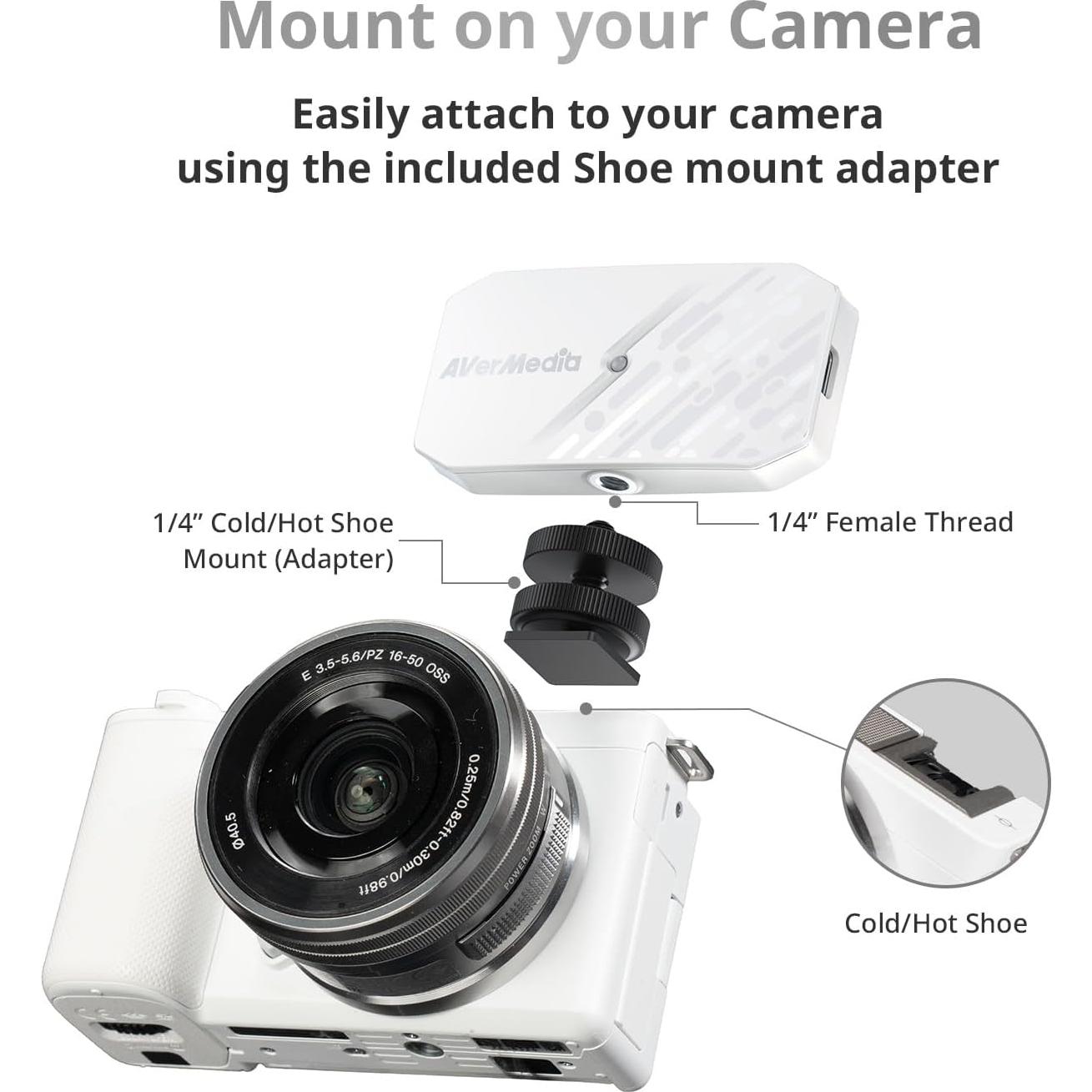 Tarjeta de Captura HDMI AVerMedia CamStream 4K BU113G2