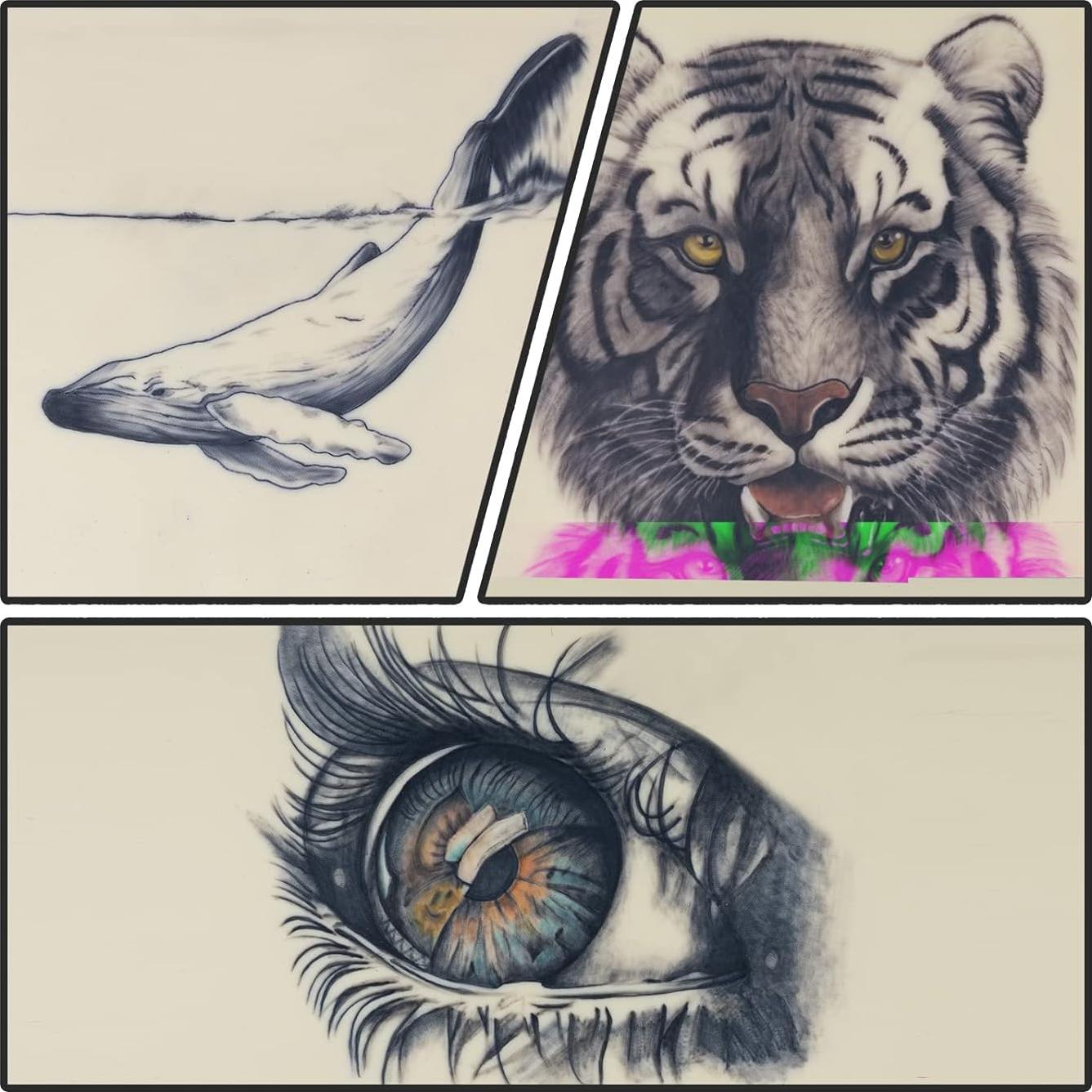 Piel de práctica de tatuaje Dragonhawk 5Pcs 20.3x19.6cm 3mm