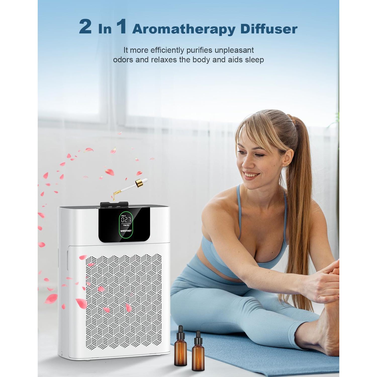 Filtro de Reemplazo H13 HEPA WESTHEY HY4866 2 Pcs