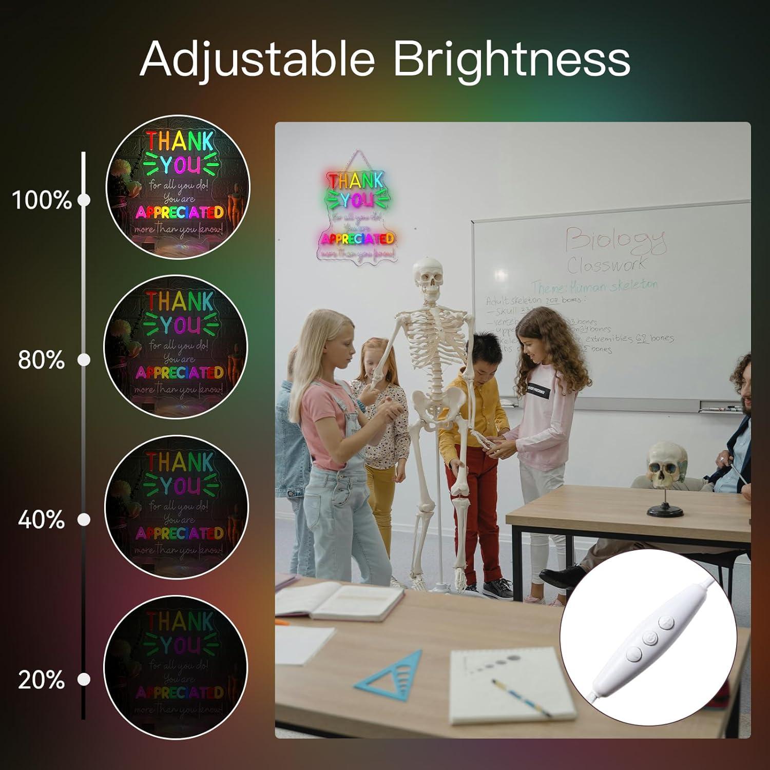 Señal Neón LED Gracias Apreciado WLHOPE 32x38 cm USB