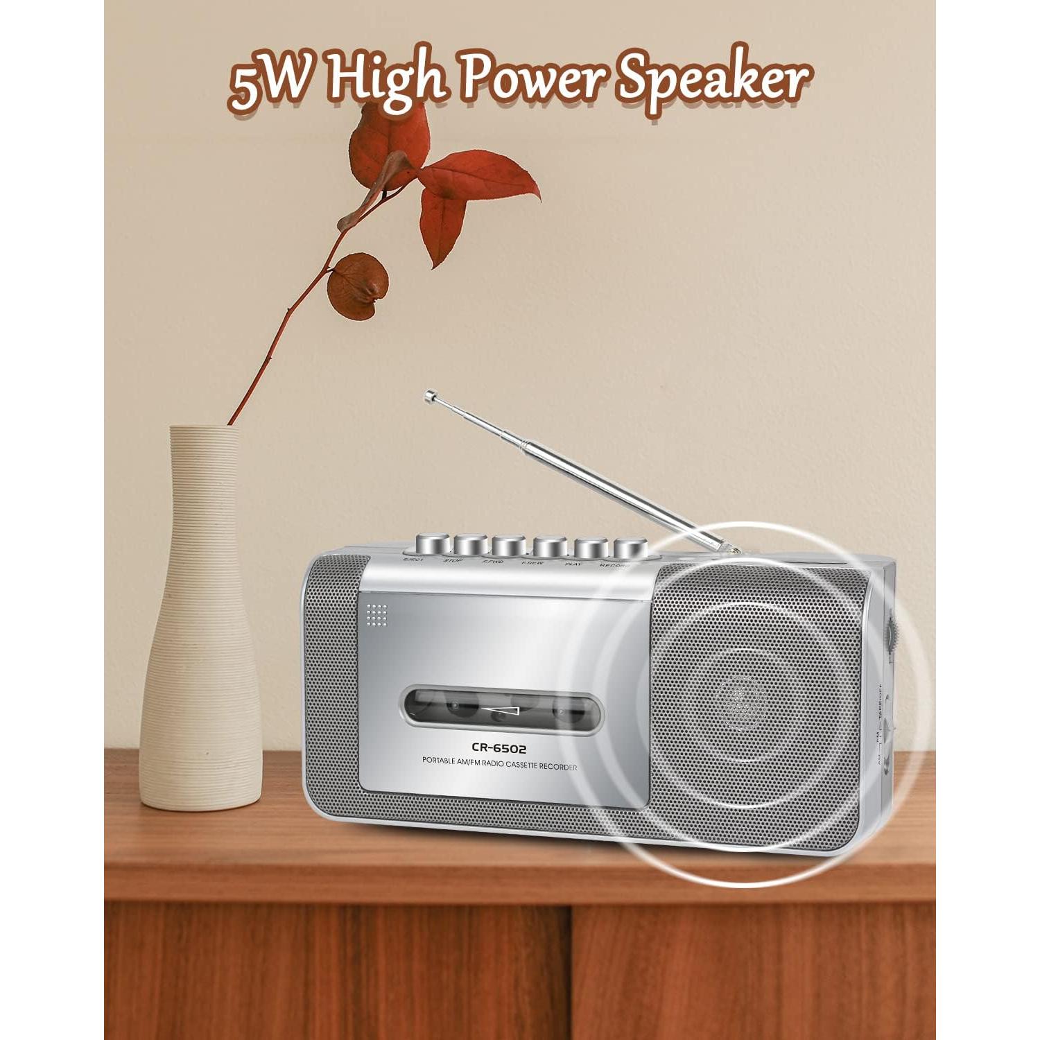 Grabadora de Cinta Portátil Dingmi 6502 con AM/FM y Altavoz