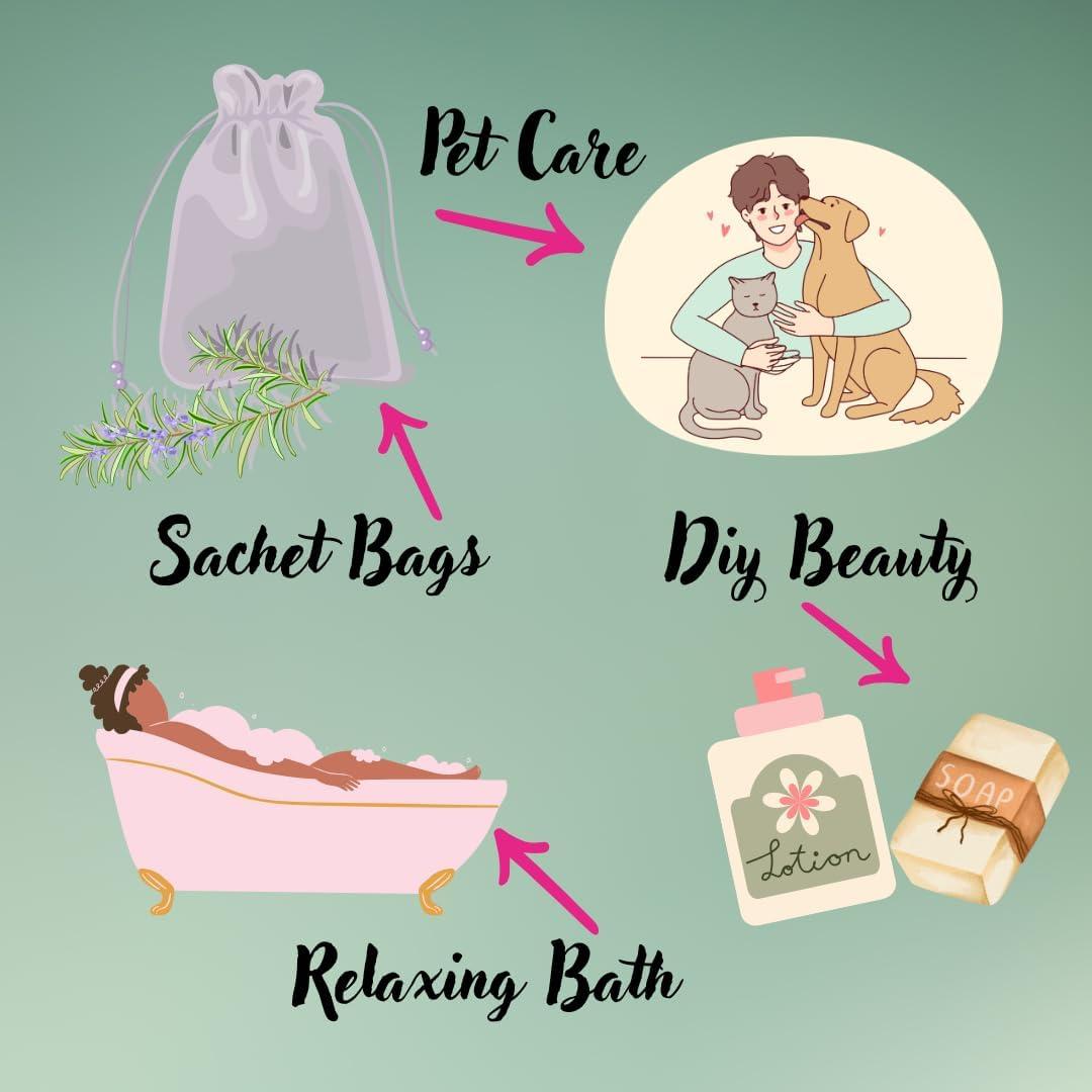 Aceite Esencial de Eucalipto AliBell 15 ml Orgánico para Difusor