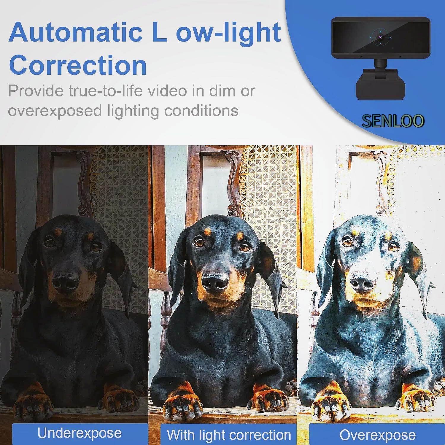 Webcam Full HD 1080P SENLOO con Auto Enfoque y Micrófonos Dobles