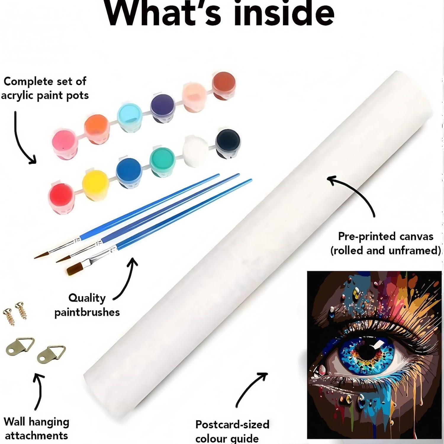 Kit de Pintura por Números CSZPPQAF 40x51 cm Acrílica