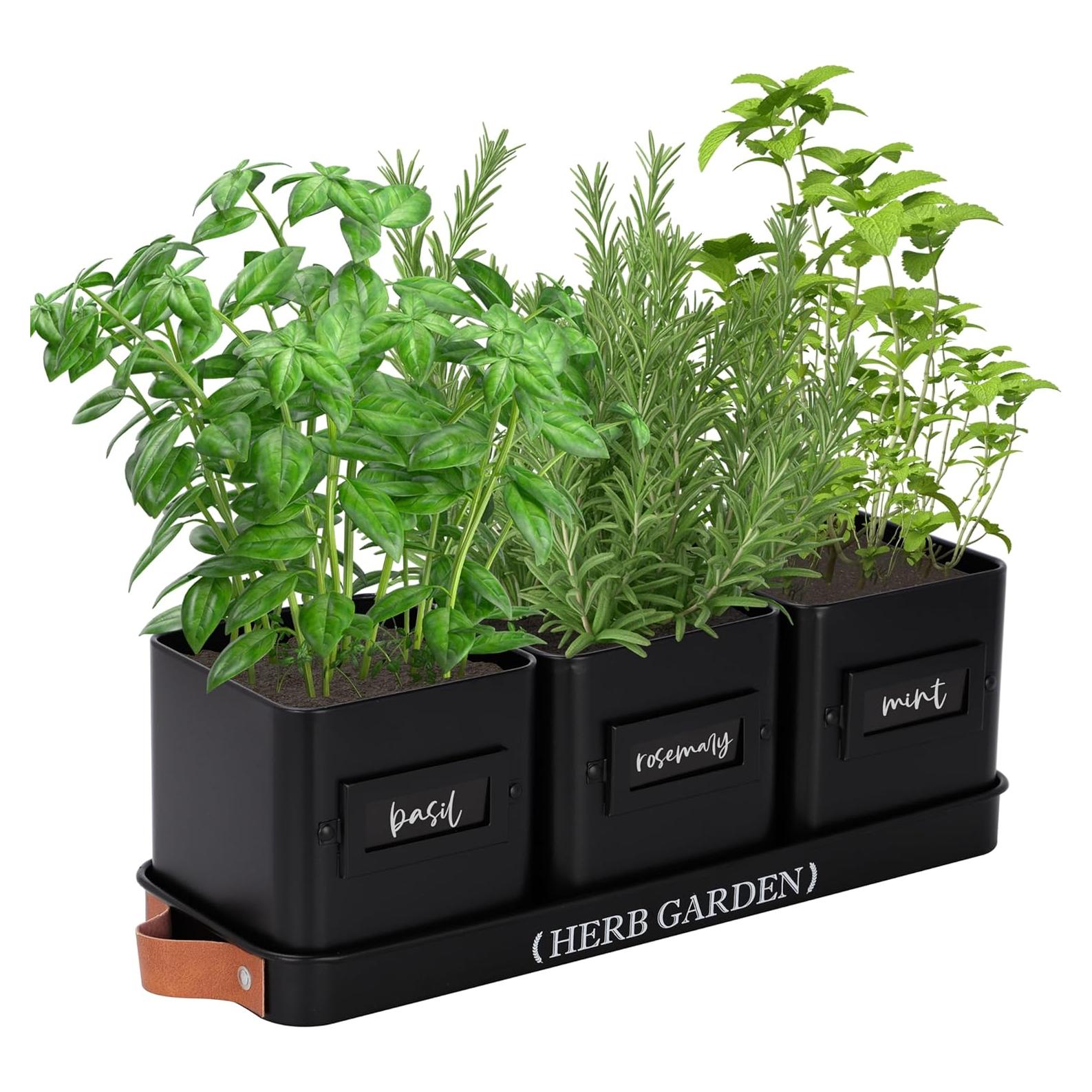 Macetas de Hierbas Interior PERFNIQUE con Bandeja - Negro Mate