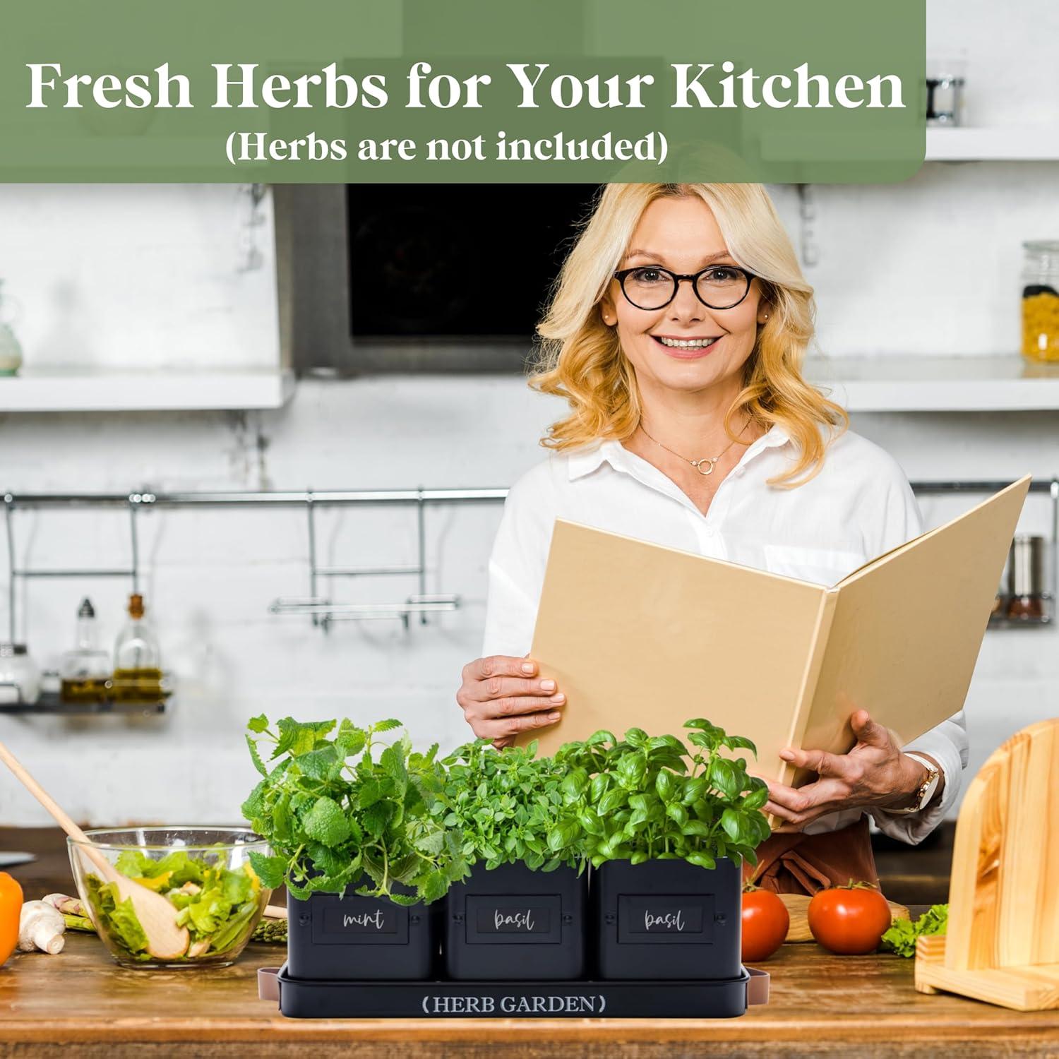 Macetas de Hierbas Interior PERFNIQUE con Bandeja - Negro Mate