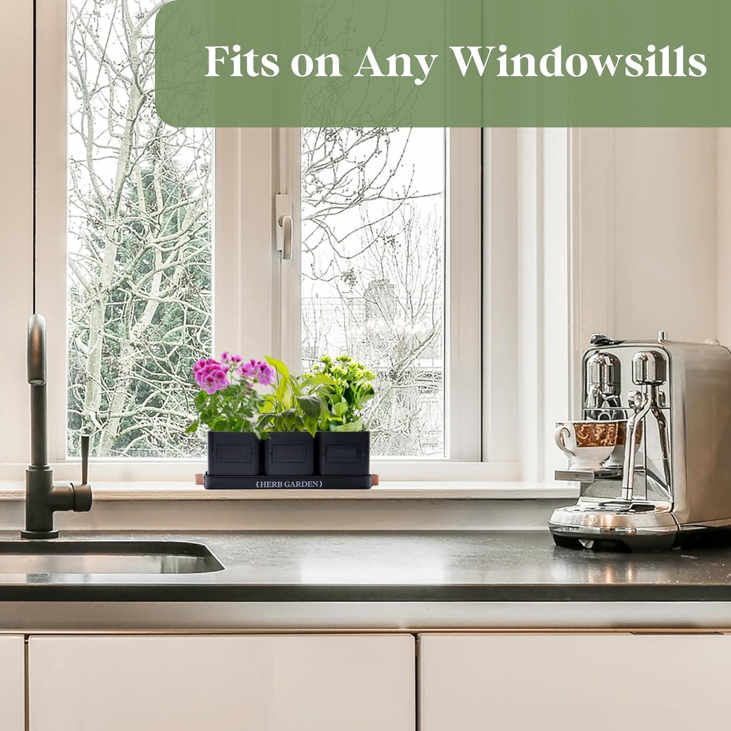 Macetas de Hierbas Interior PERFNIQUE con Bandeja - Negro Mate