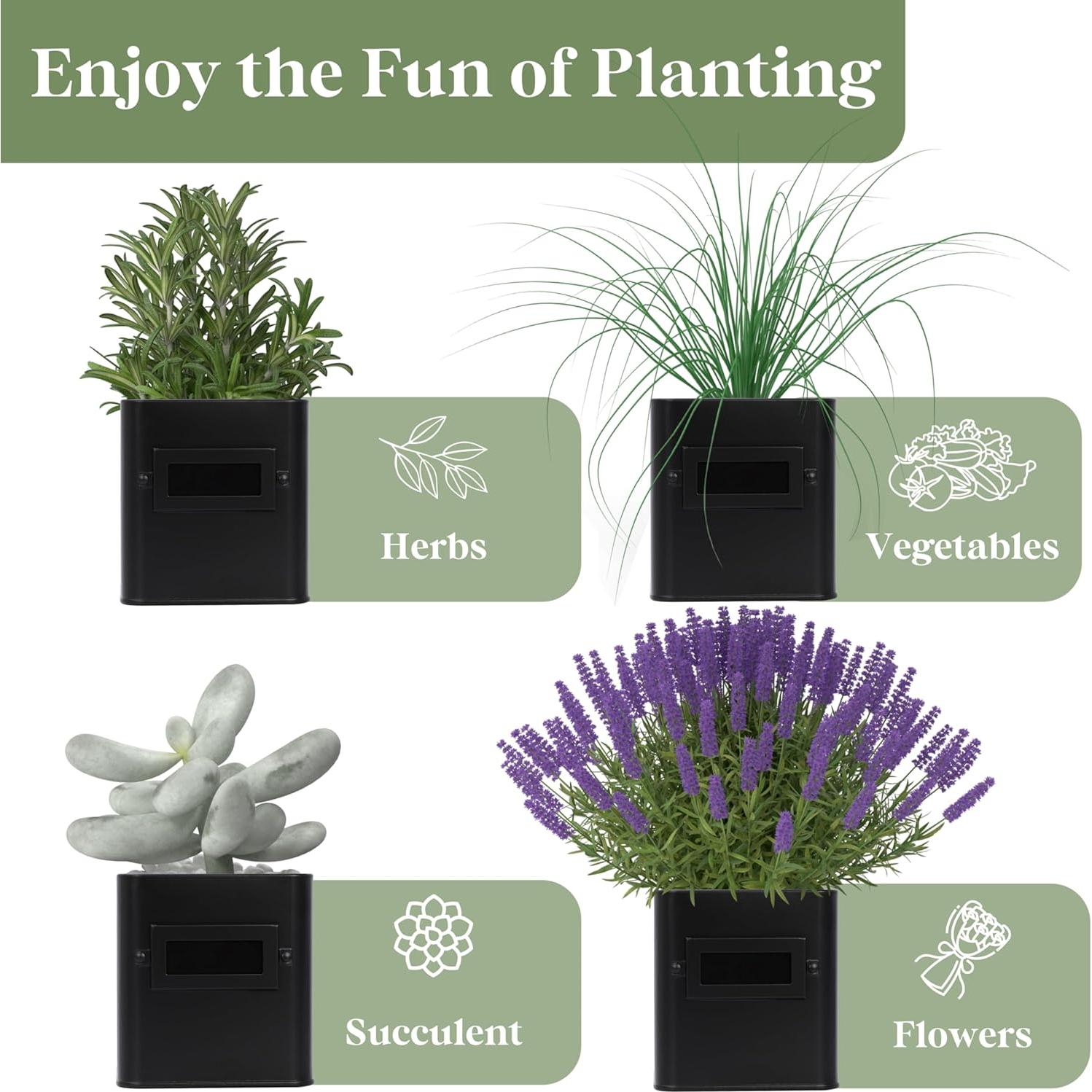 Macetas de Hierbas Interior PERFNIQUE con Bandeja - Negro Mate