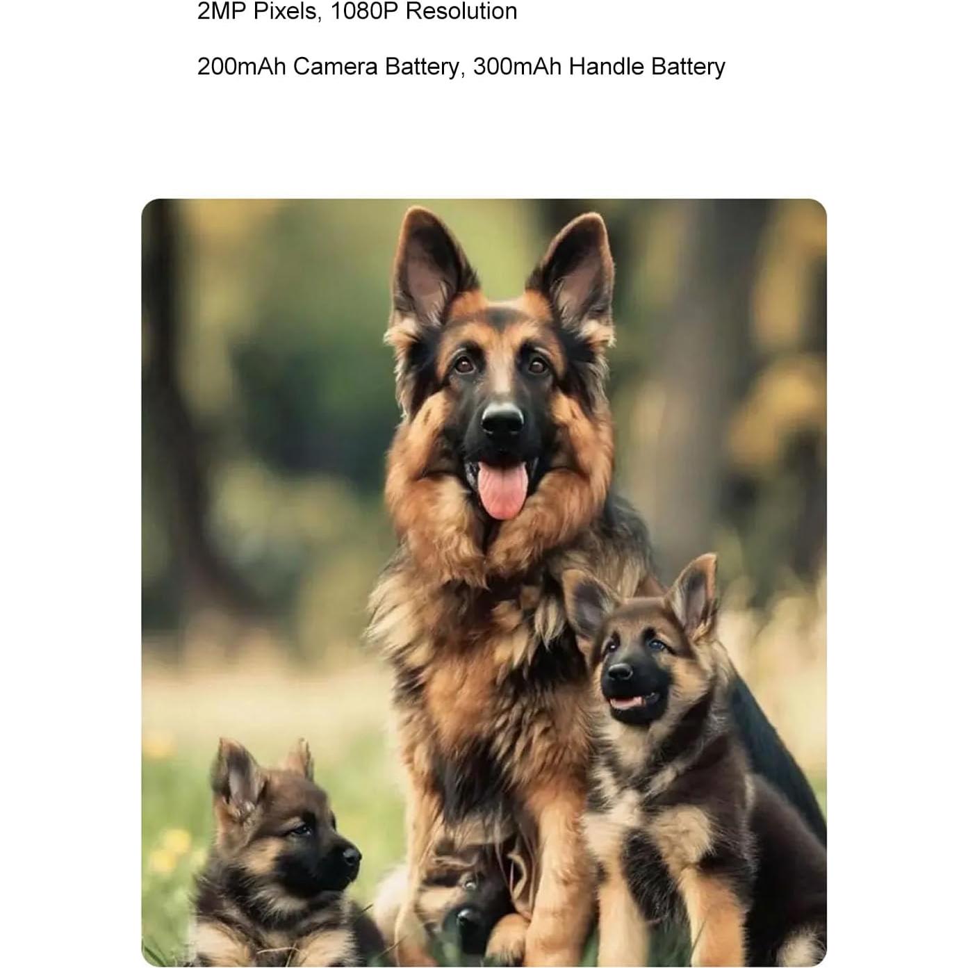 Cámara Digital Retro 2MP LICAEVEY 1080P HD Compacta