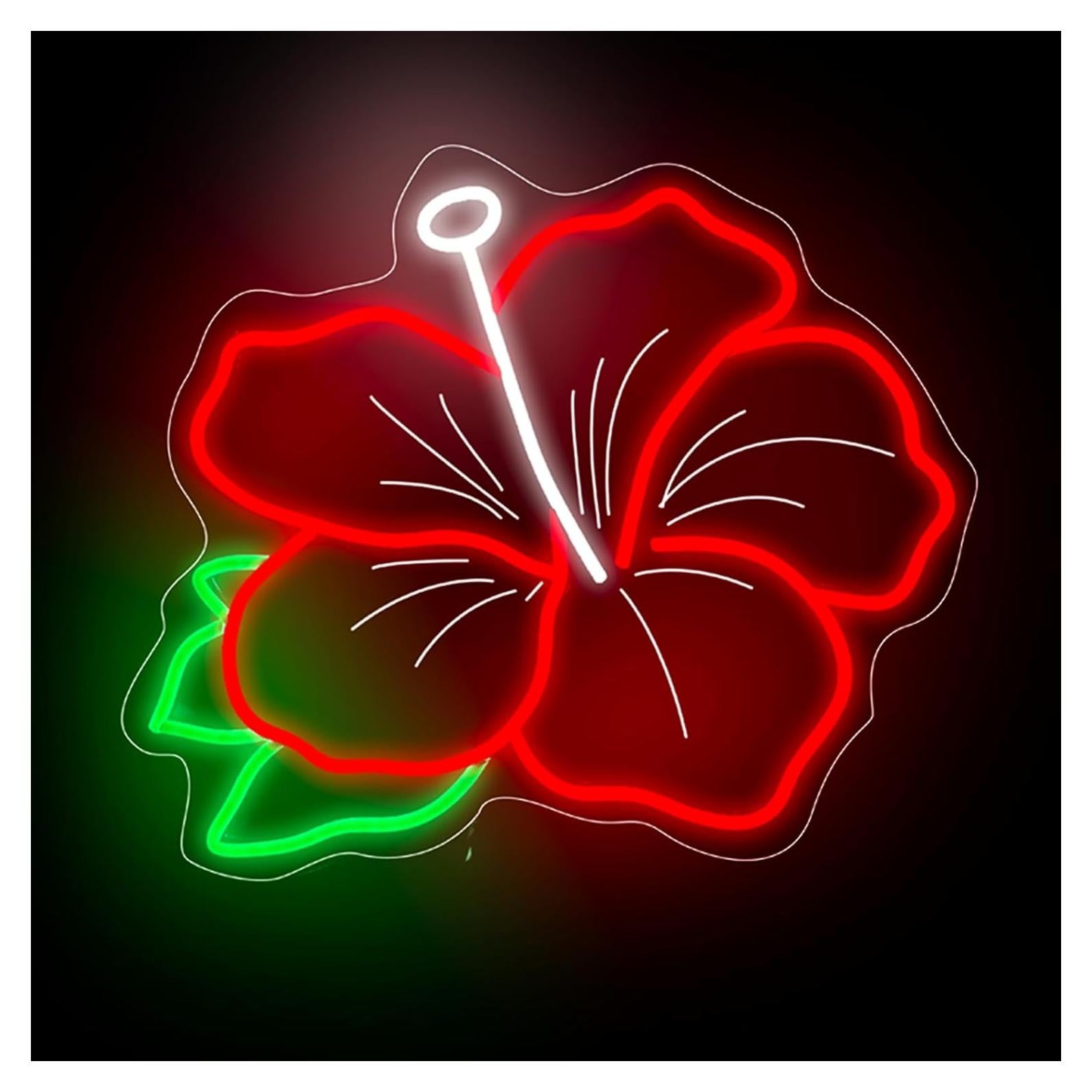 Luz de Neón Hibisco DMDMBSR 38.1x30.5cm Rojo LED