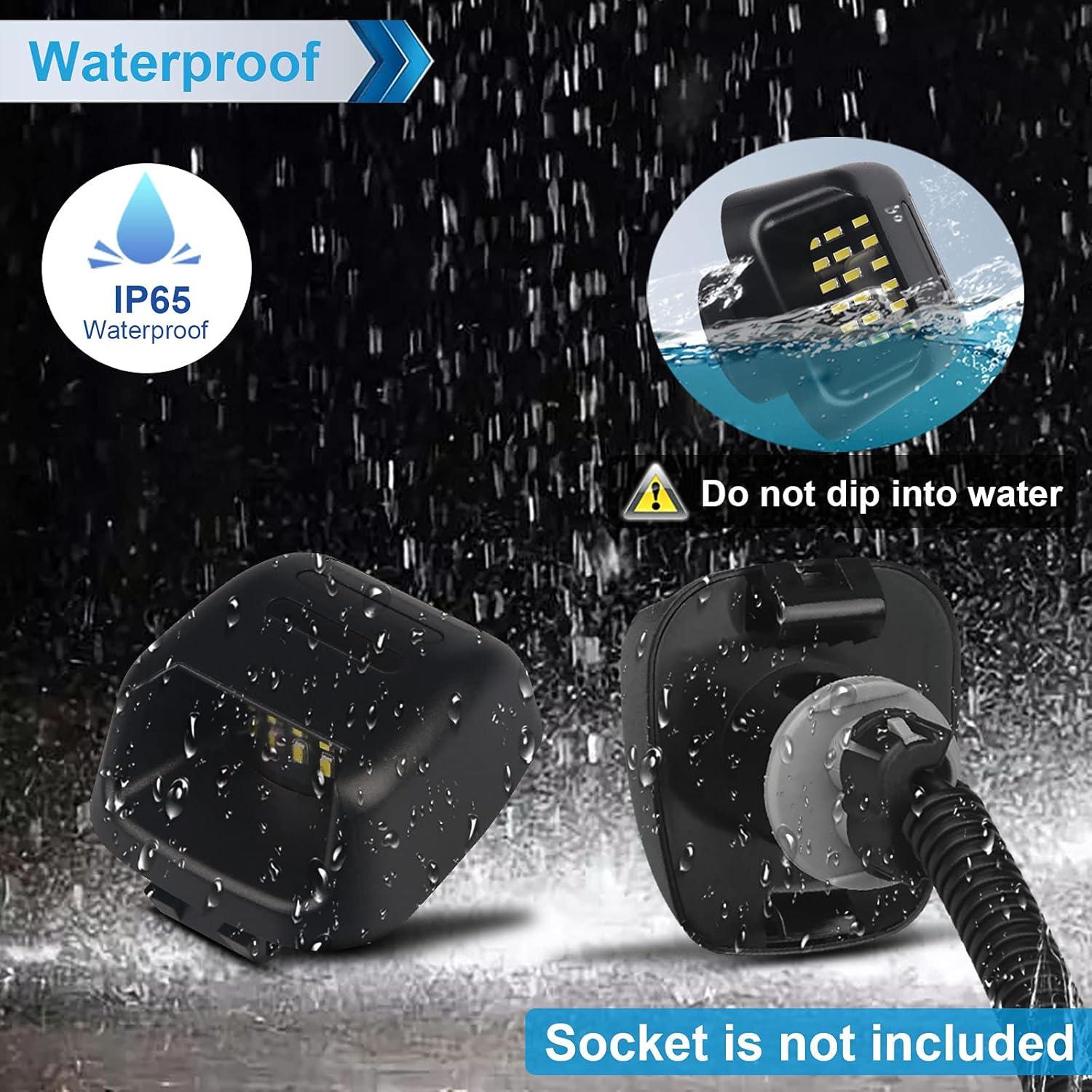 Luces de Matrícula LED MbuyDIY 6000K para Nissan y Suzuki - Paquete de 2