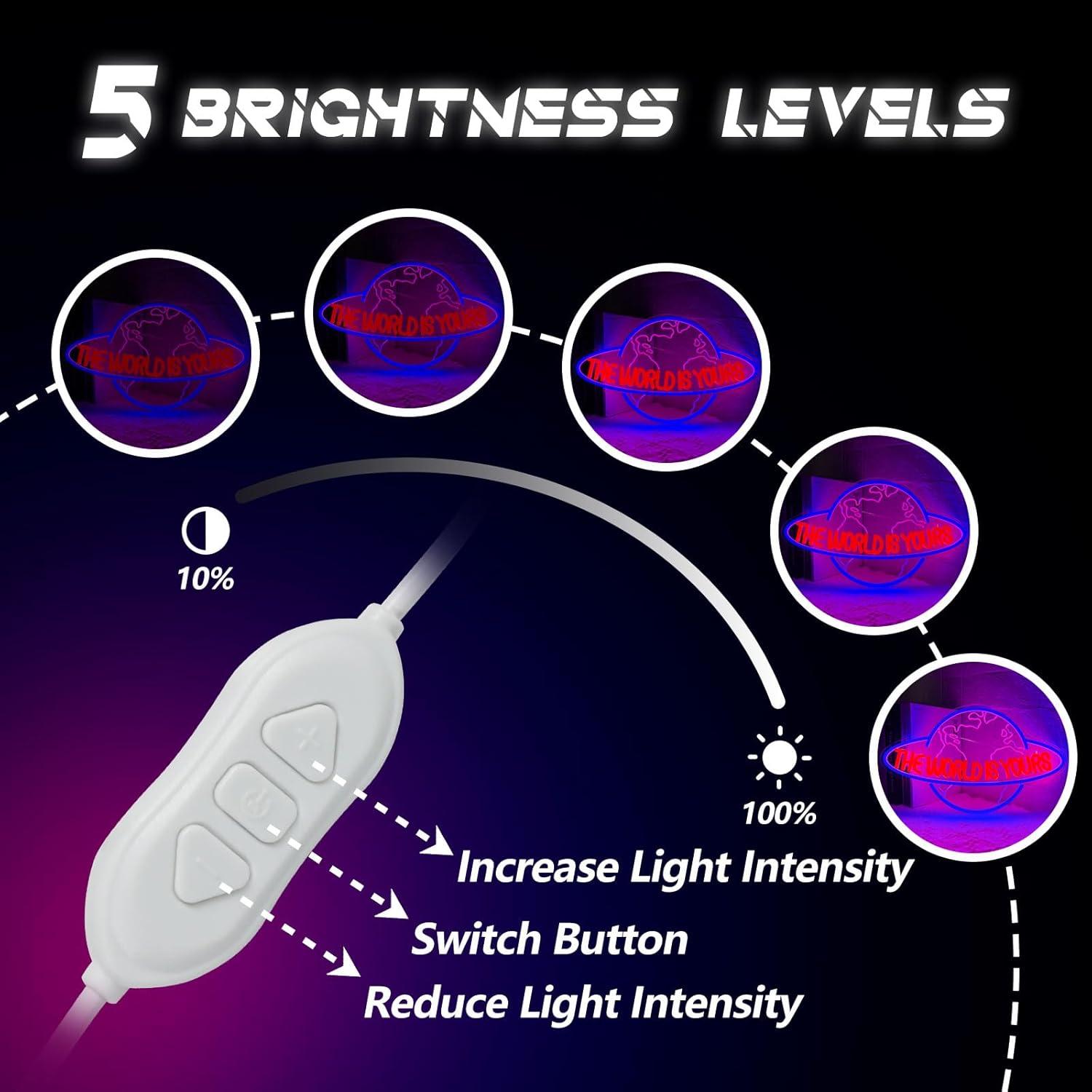 Luz Neón LED El Mundo Es Tuyo Fyle 43x27 cm Dimmable